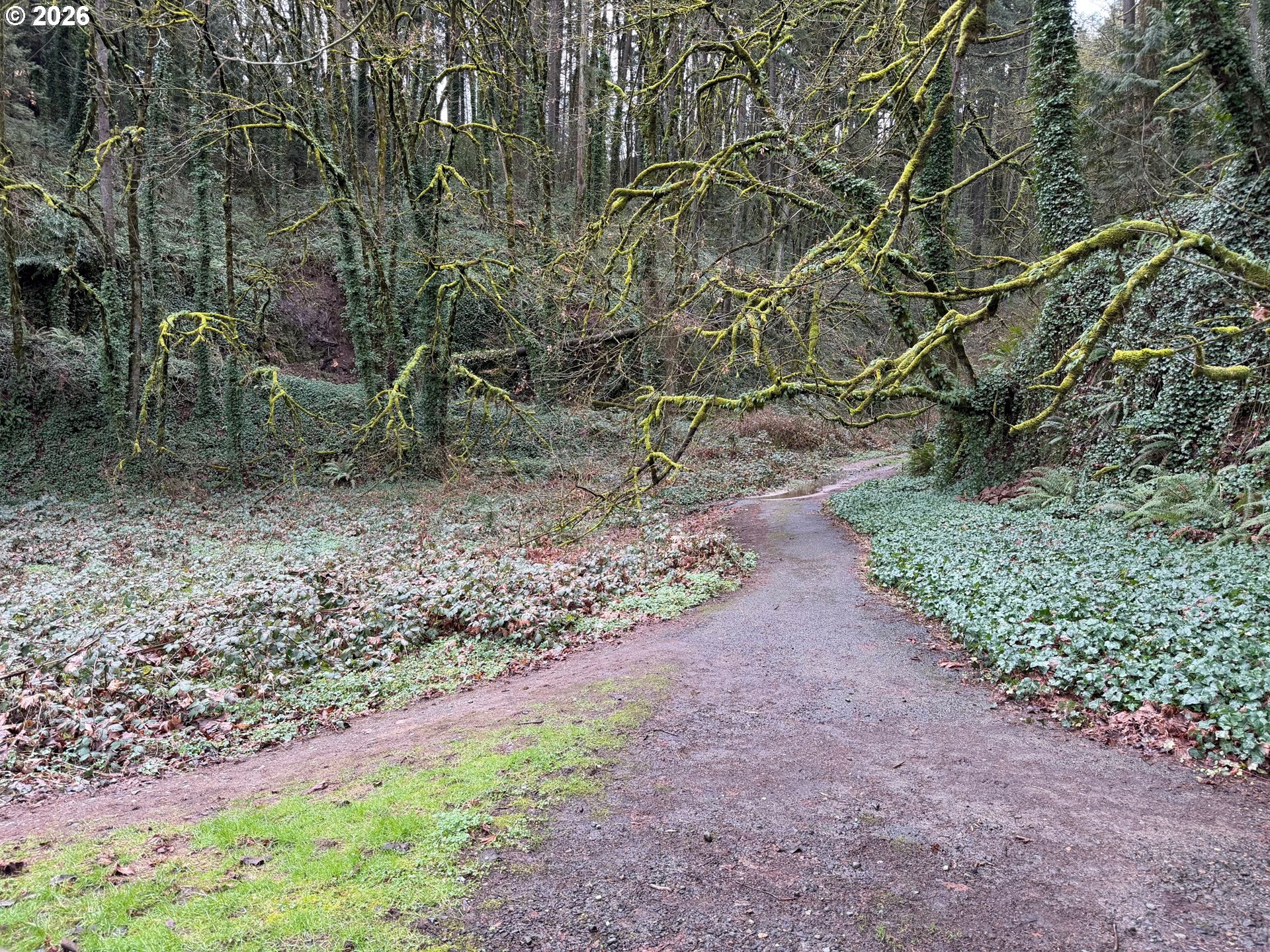 2575 NW LOVEJOY ST, Portland, OR, 97210