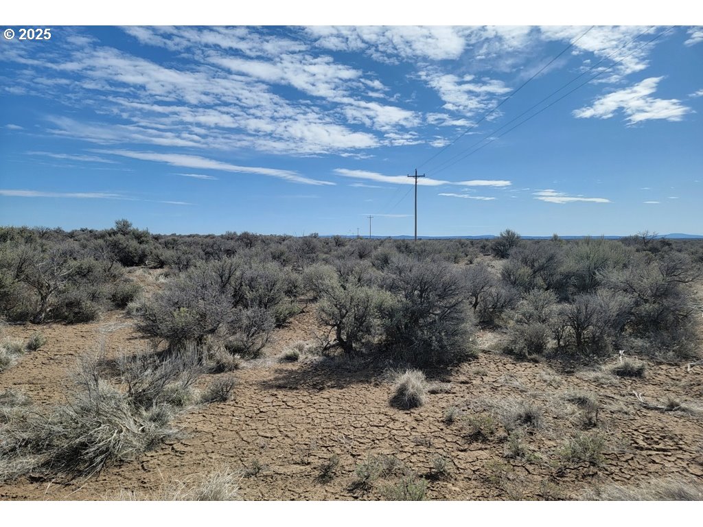 Search Homes for Sale