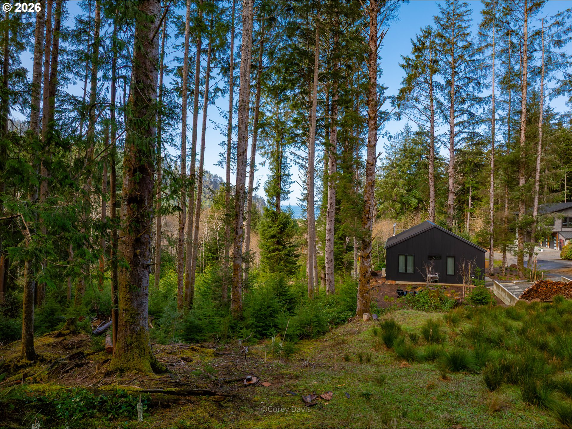 Search Homes for Sale