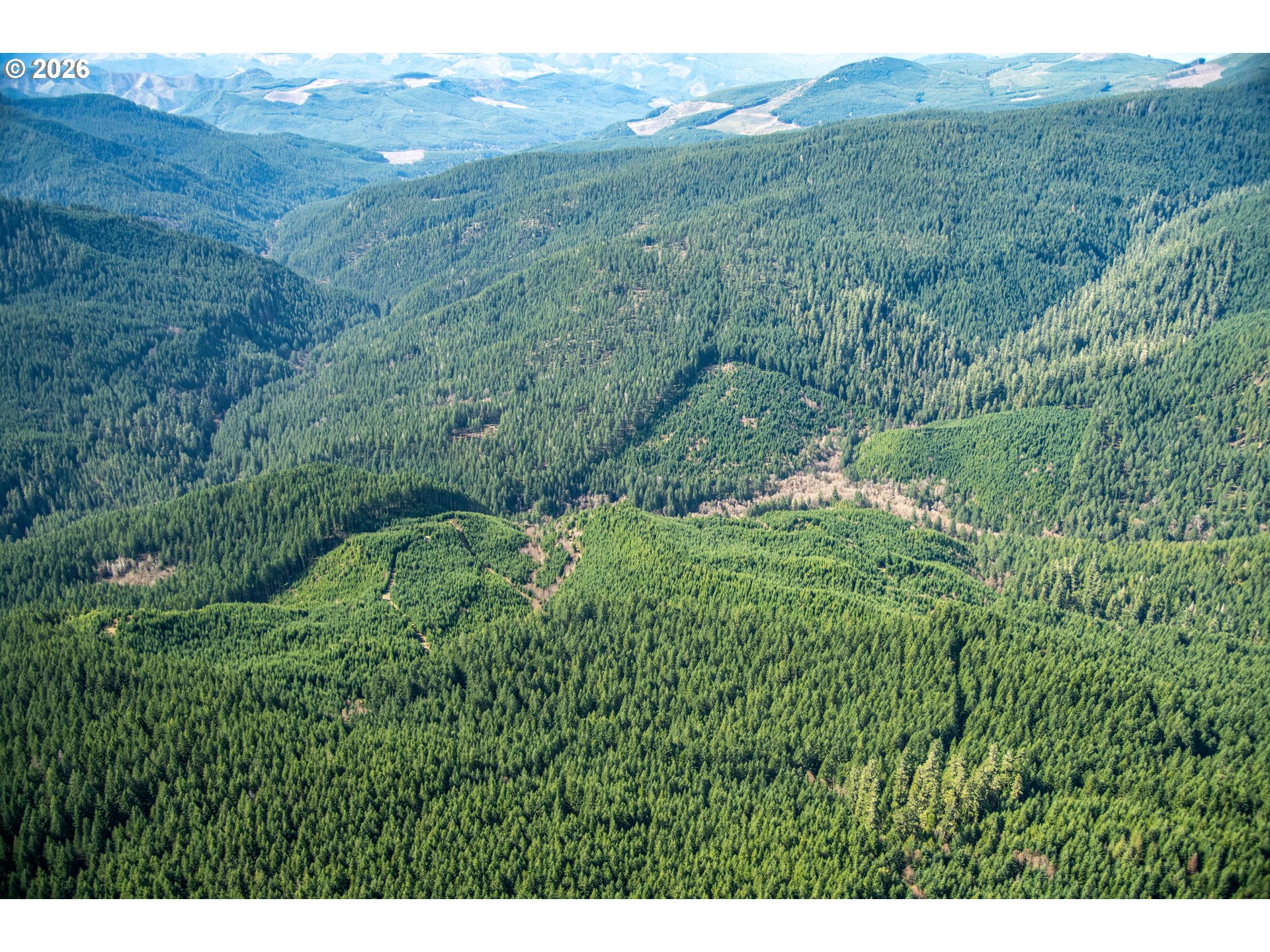 Search Homes for Sale