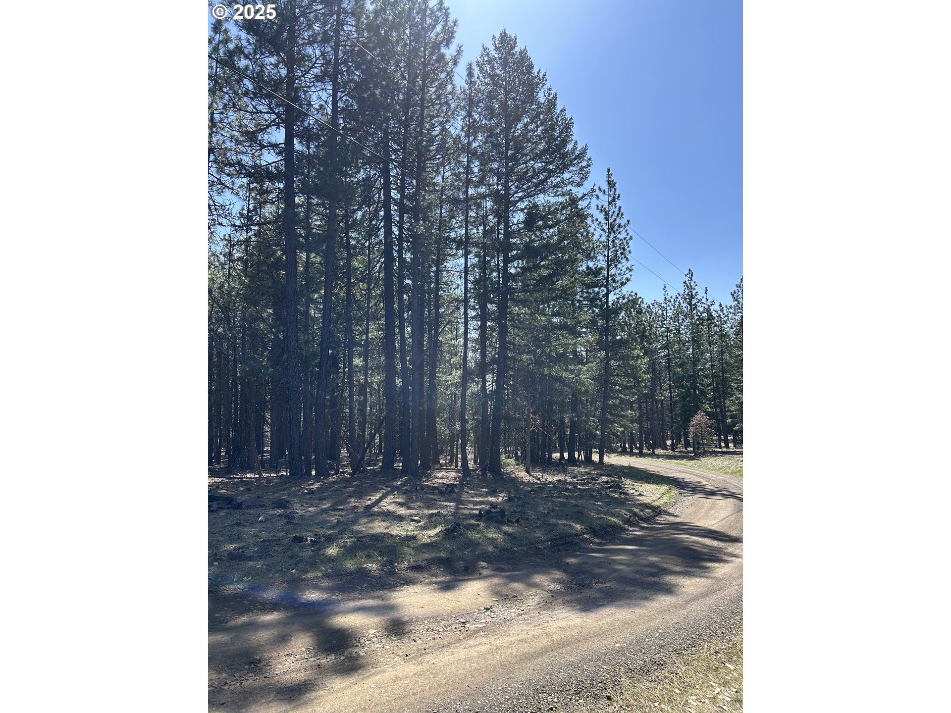 Search Homes for Sale