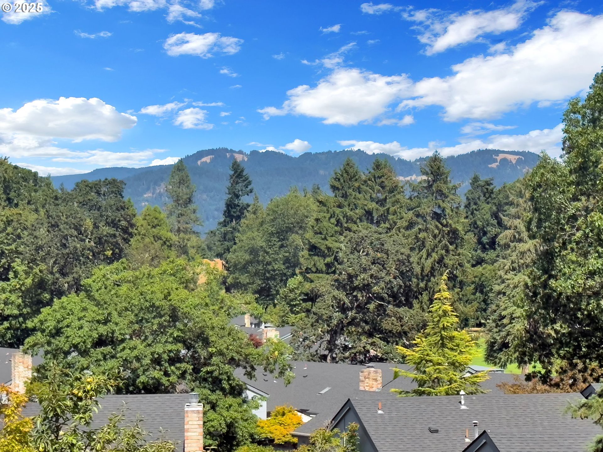 410 SPYGLASS DR, Eugene, OR, 97401