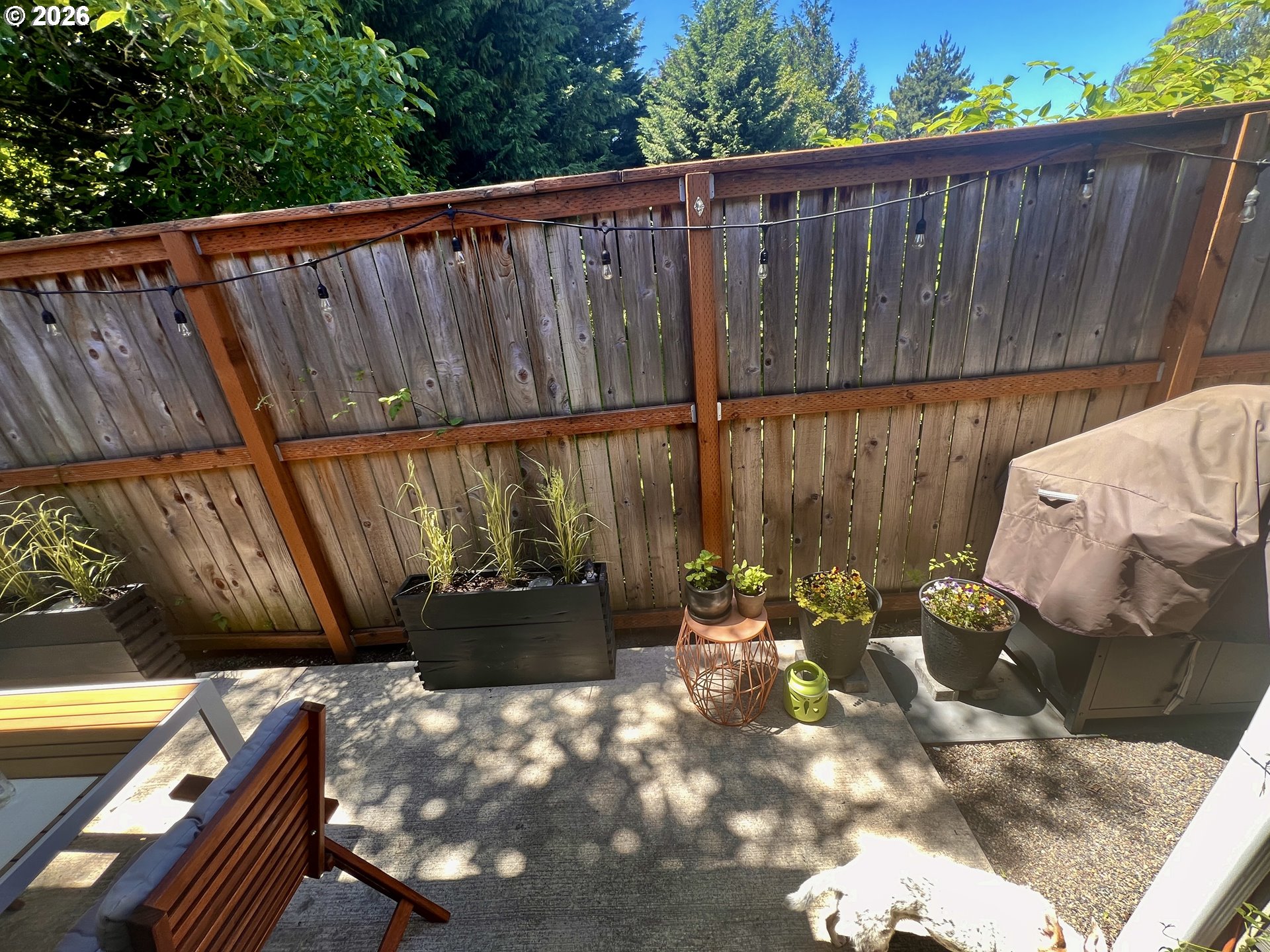 Photo #24: 441201571 Listing: Photo #24