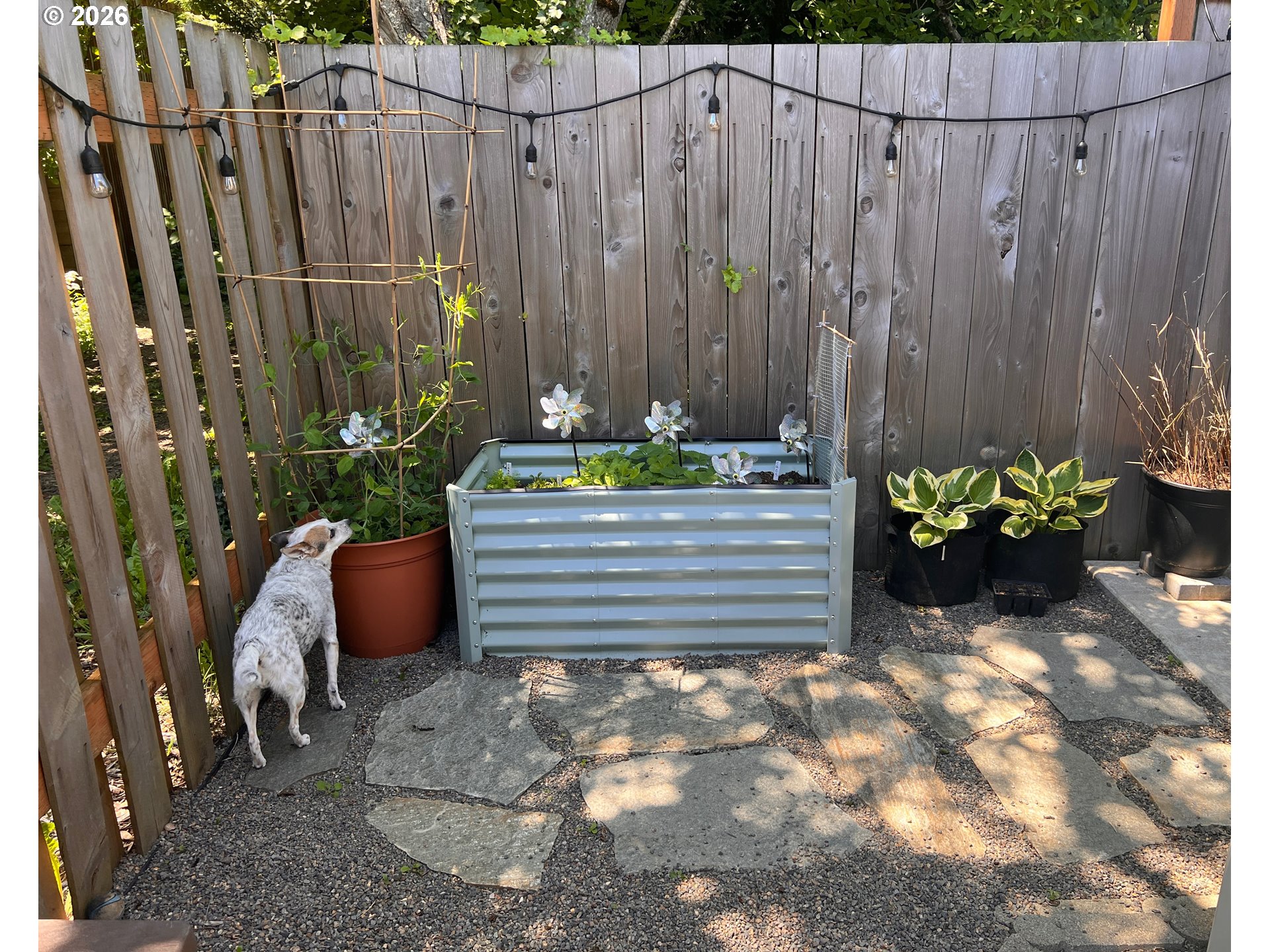 Photo #23: 441201571 Listing: Photo #23