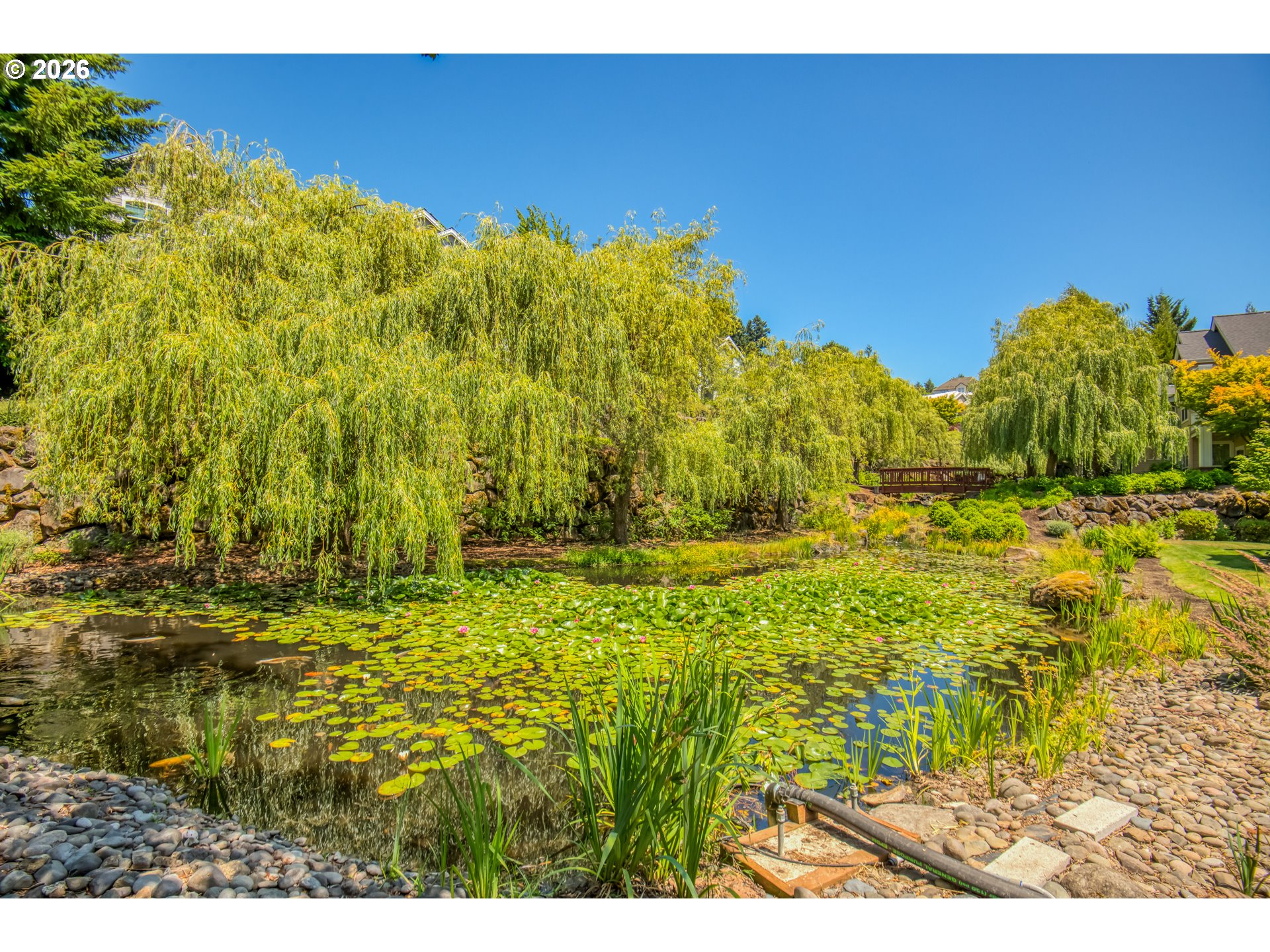 Photo #29: 441607029 Listing: Photo #29