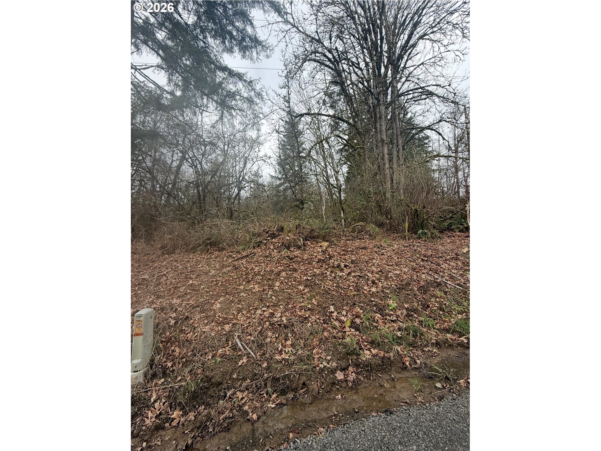 Search Homes for Sale