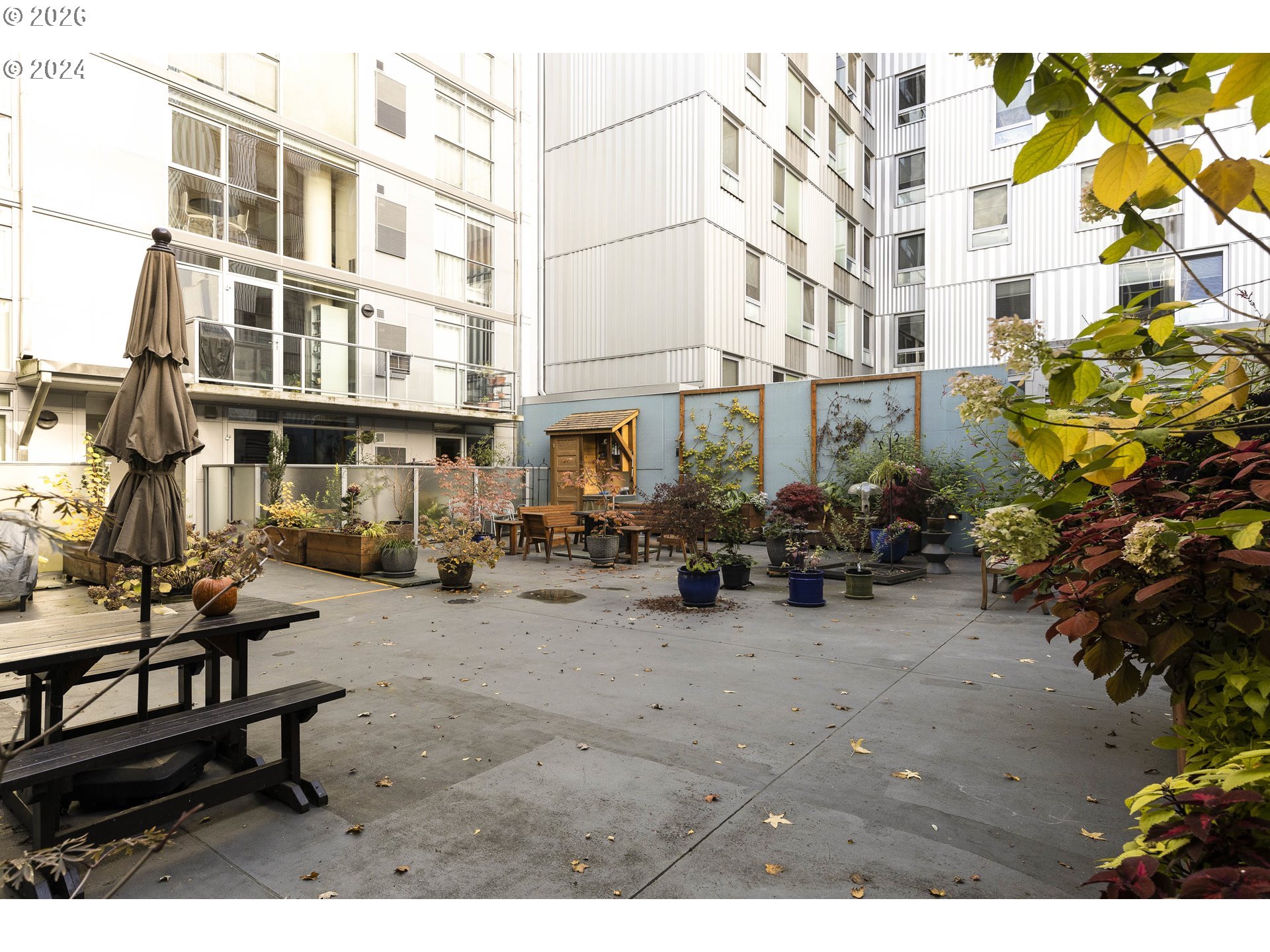 Photo #22: 446375542 Listing: Photo #22