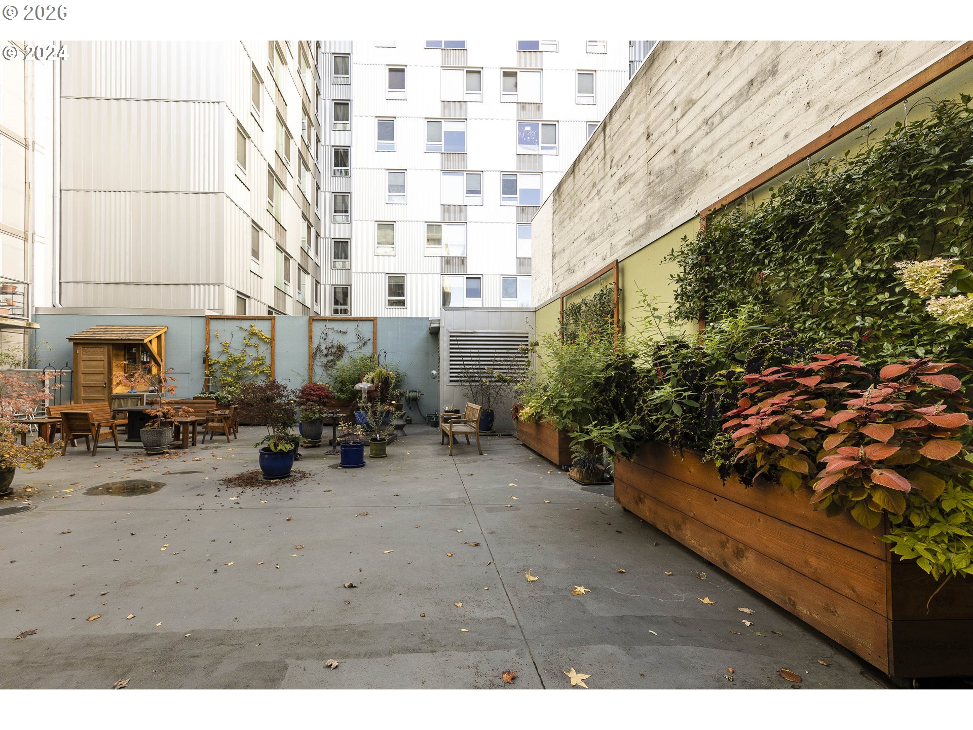 Photo #26: 446375542 Listing: Photo #26