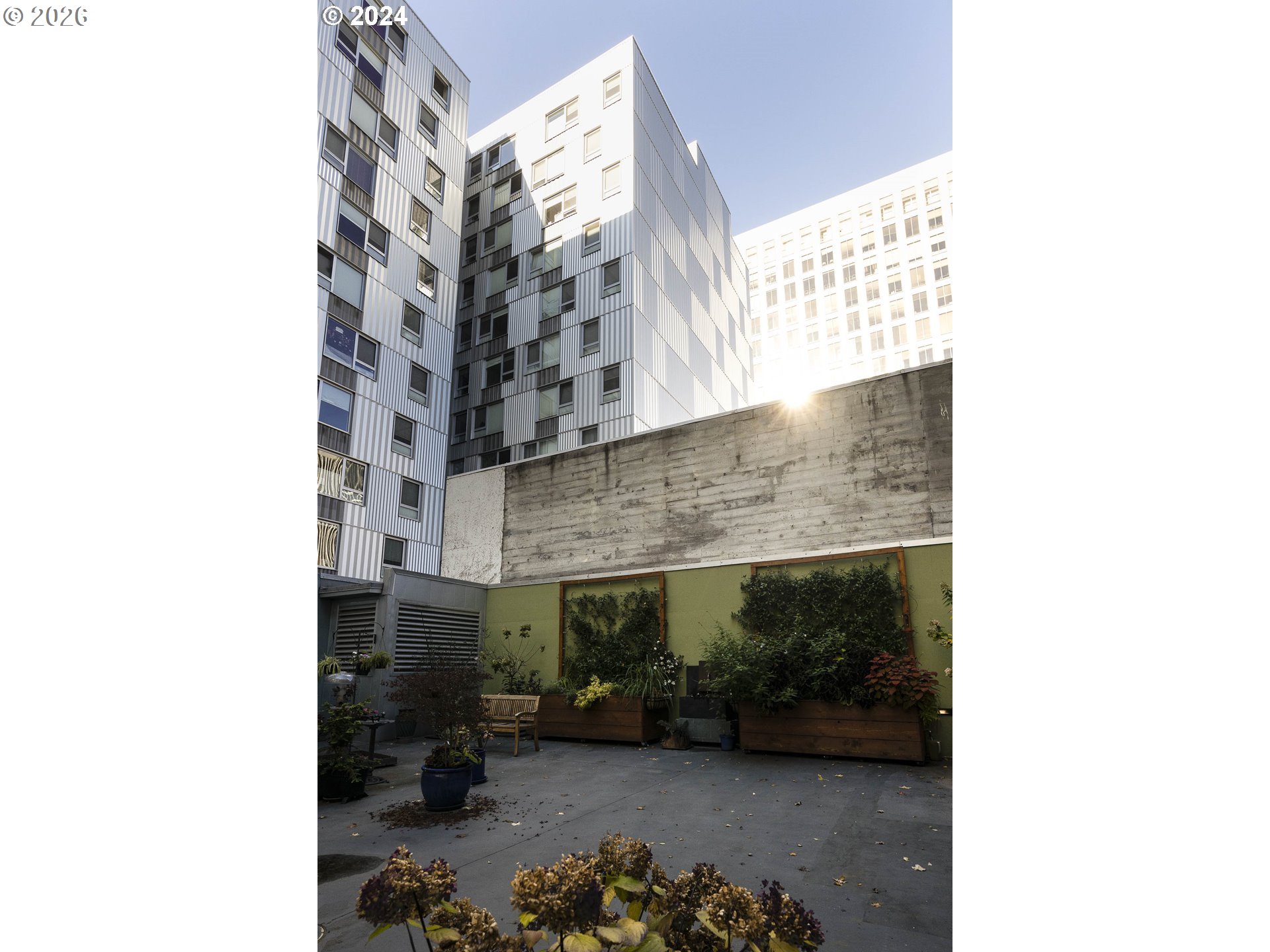 Photo #27: 446375542 Listing: Photo #27