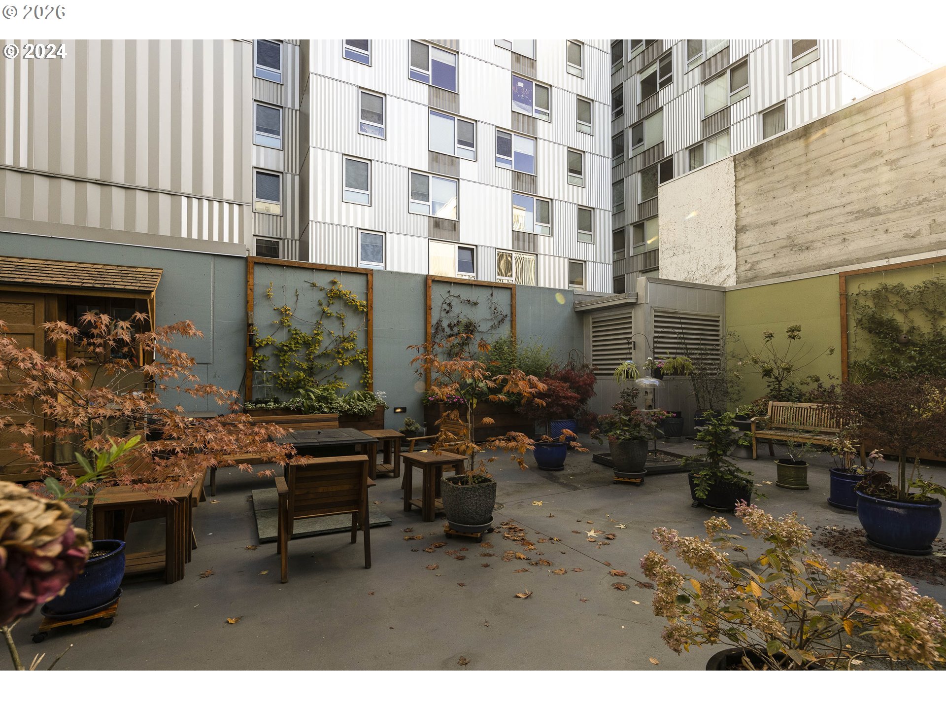 Photo #28: 446375542 Listing: Photo #28