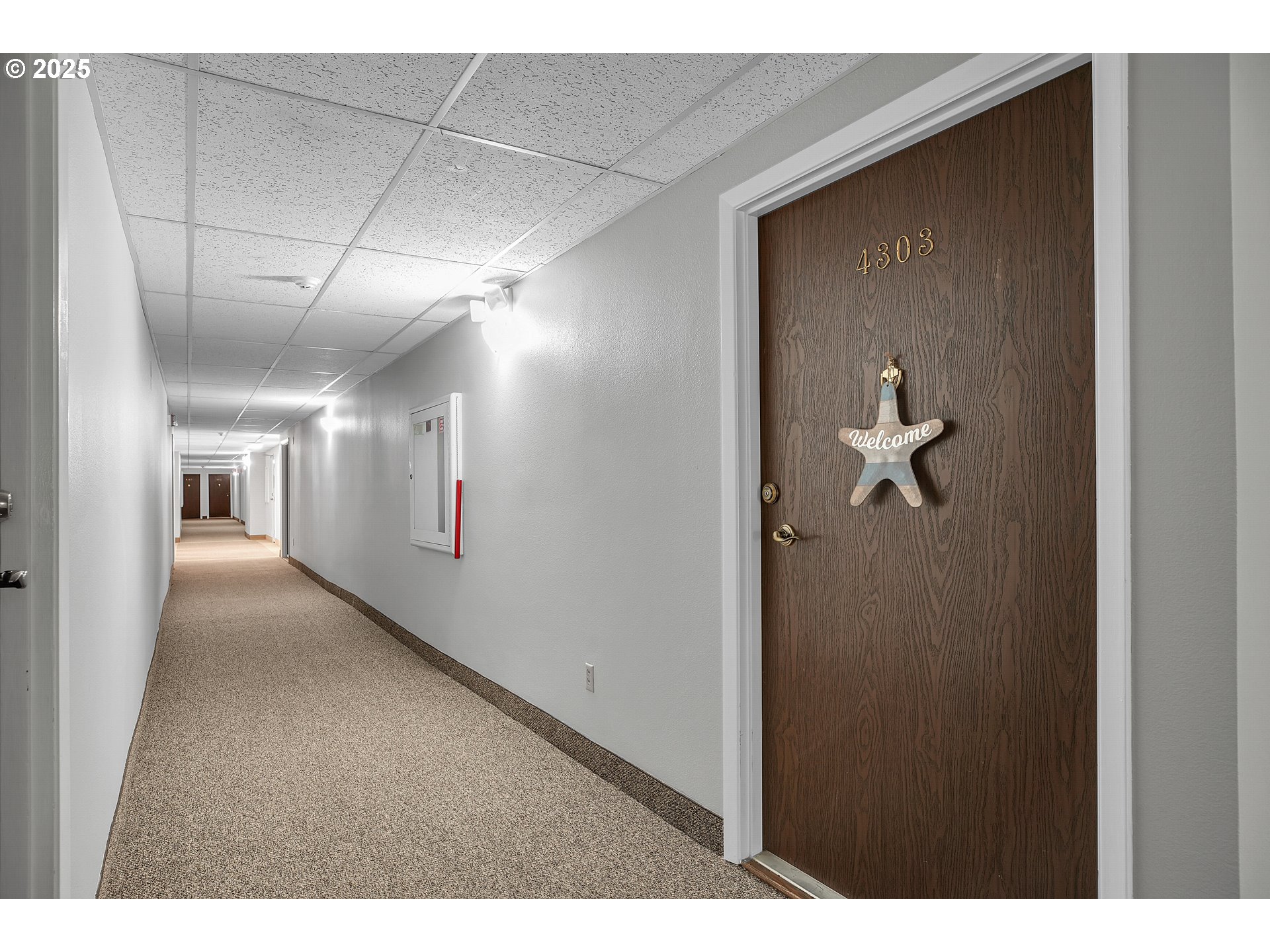 Photo #3: 448346638 Listing: Photo #3