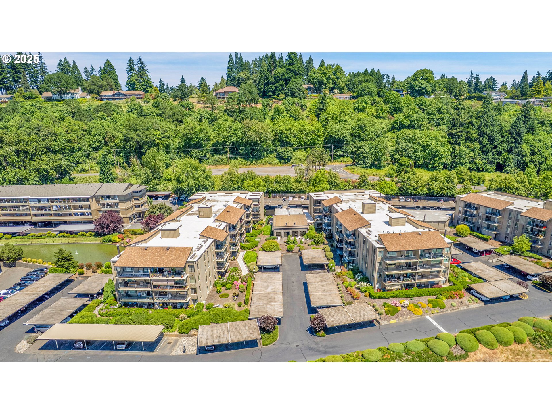 Photo #34: 448346638 Listing: Photo #34