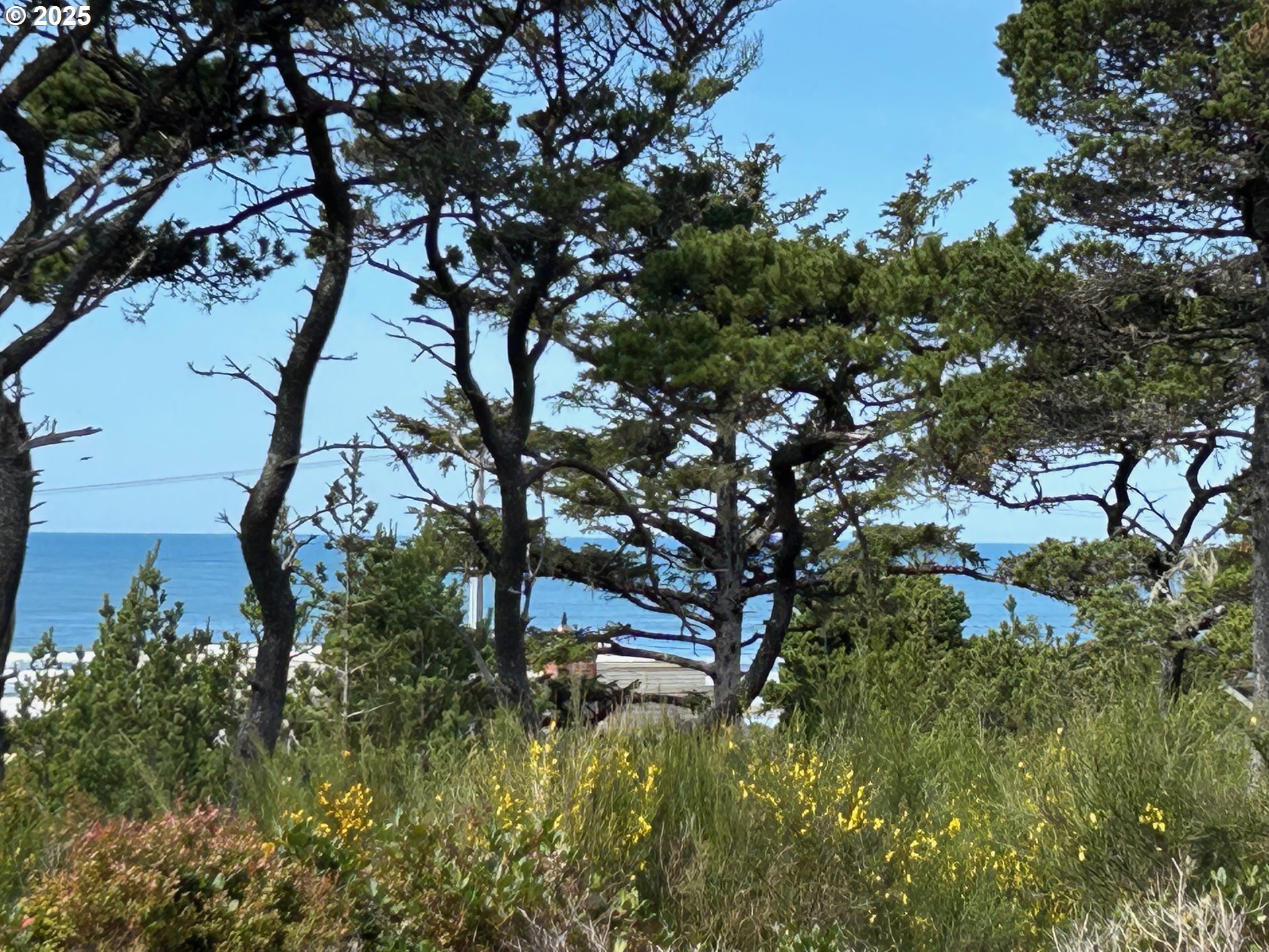 88433 2ND AVE, Florence, OR, 97439