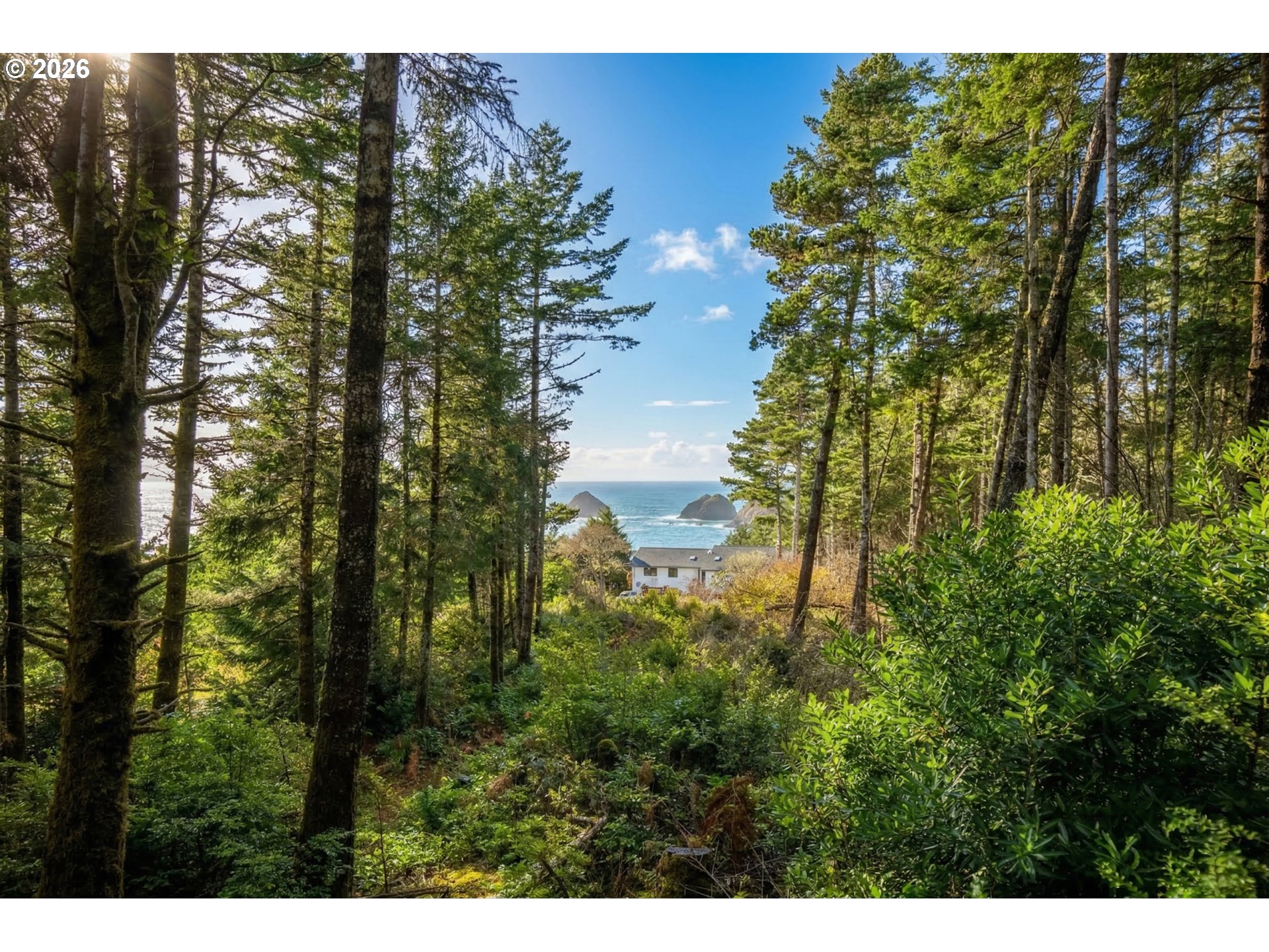Castle DR UNIT TL 105, Oceanside, OR, 97134