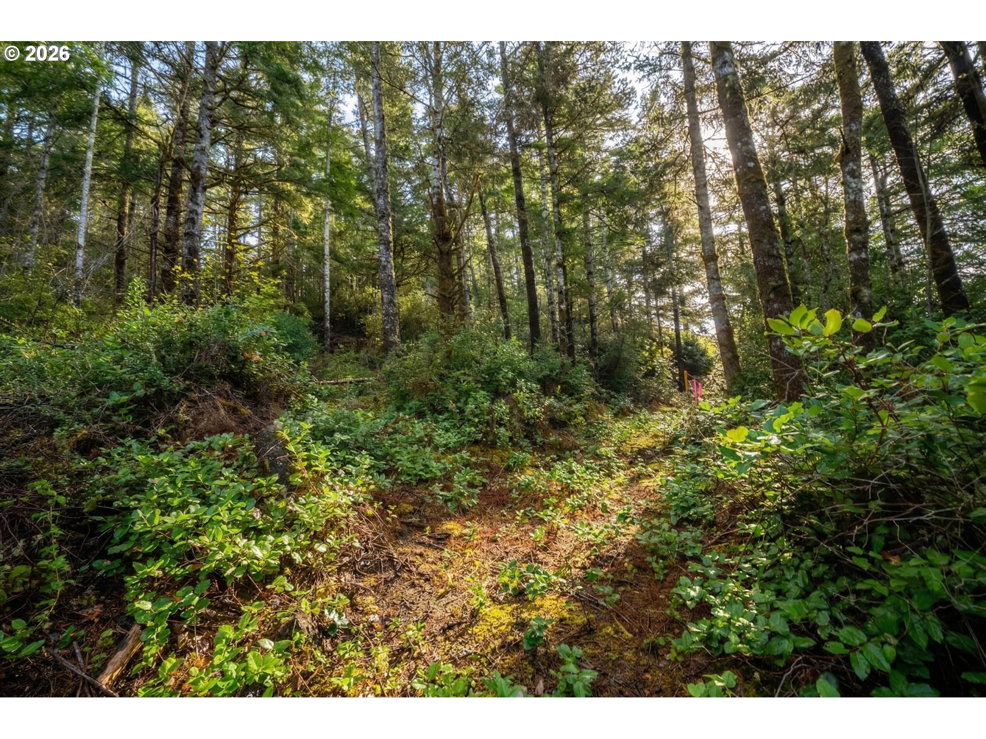 Castle DR UNIT TL 105, Oceanside, OR, 97134