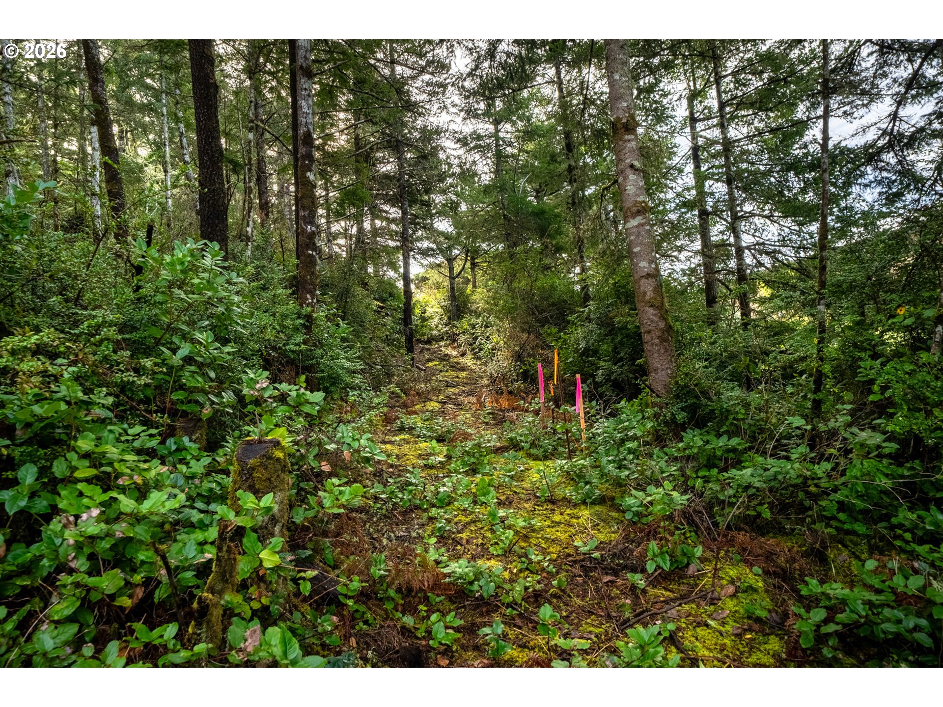 Castle DR UNIT TL 105, Oceanside, OR, 97134