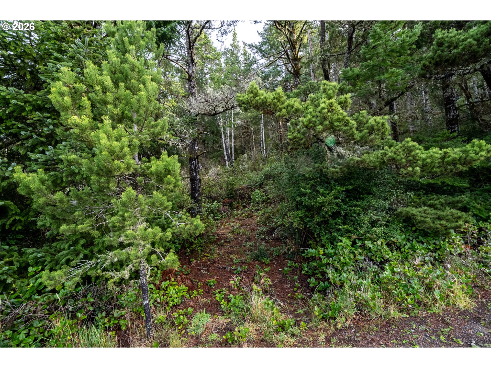 Castle DR UNIT TL 105, Oceanside, OR, 97134