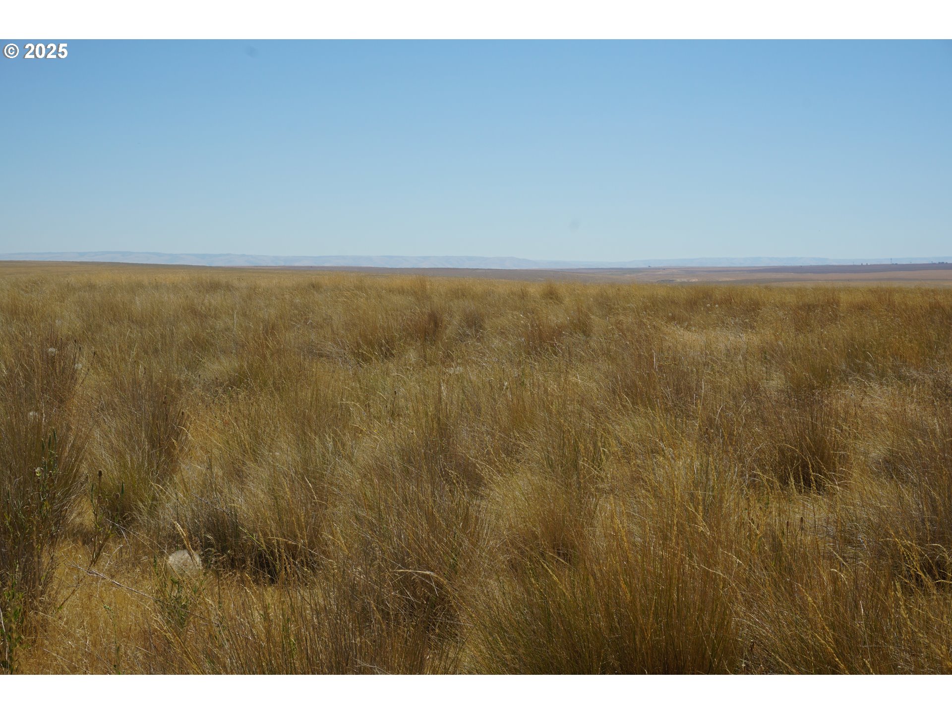 Stage Gulch RD, Pendleton, OR, 97801