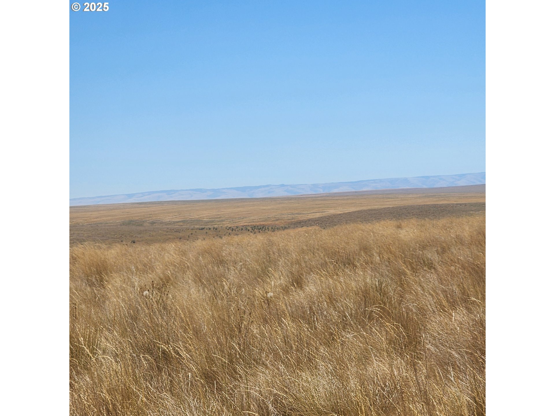 Stage Gulch RD, Pendleton, OR, 97801
