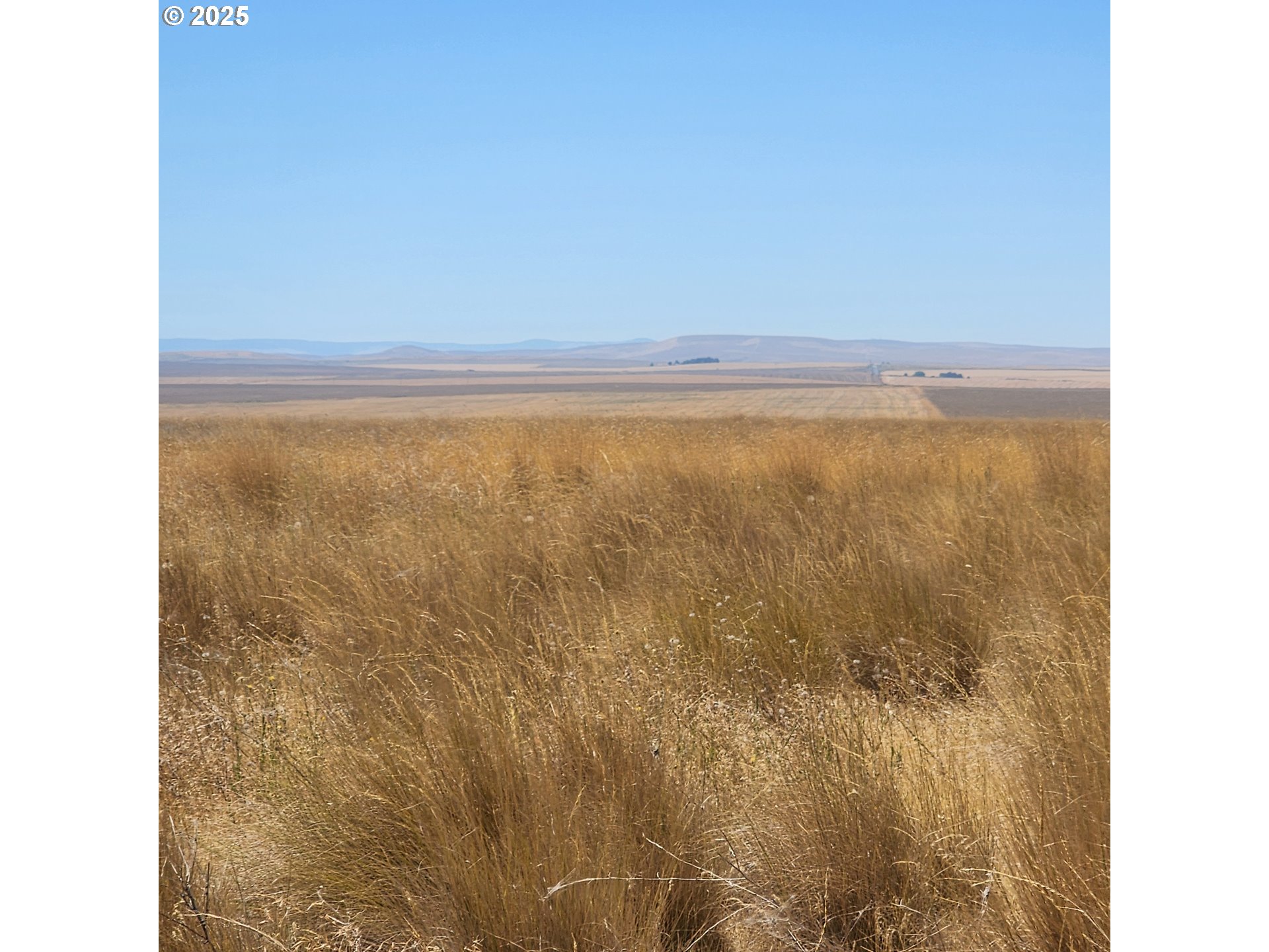 Stage Gulch RD, Pendleton, OR, 97801