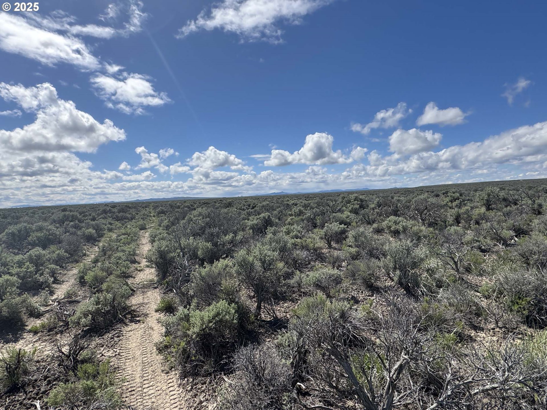 Search Homes for Sale