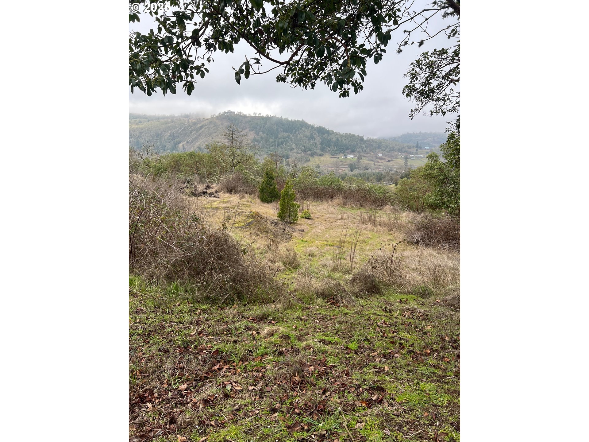 Search Homes for Sale