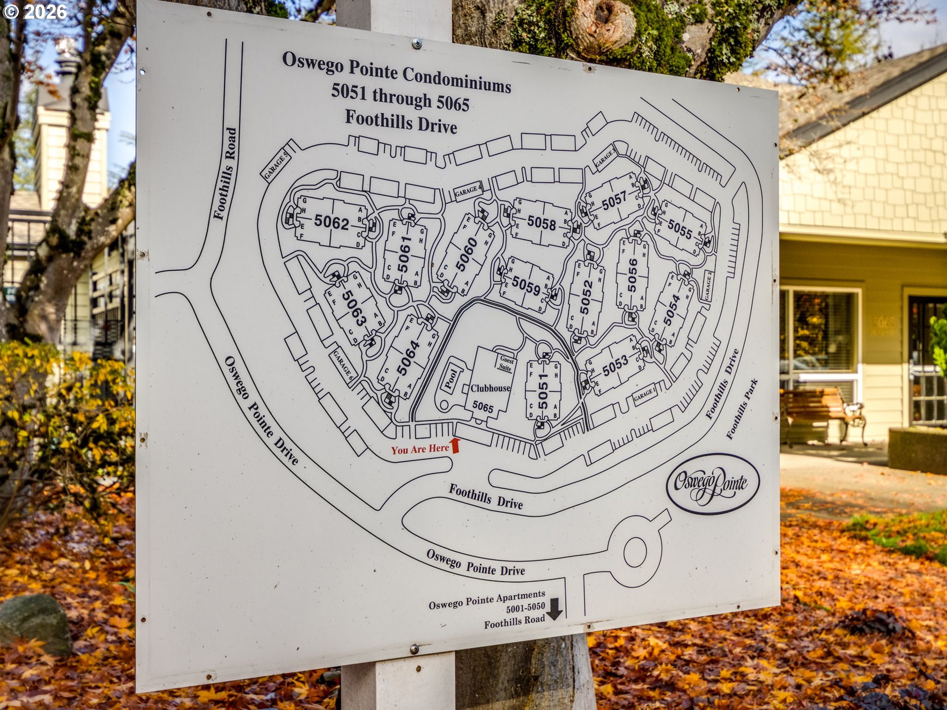 Photo #34: 451468358 Listing: Photo #34