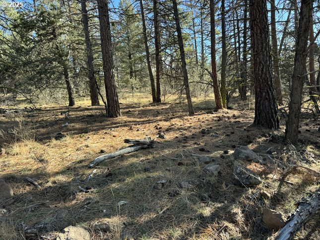 Search Homes for Sale