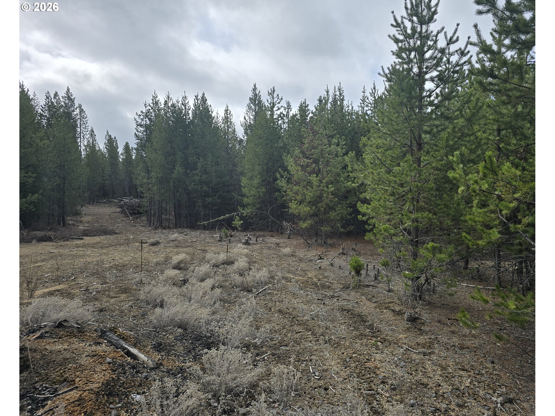 59 Royce Mountain WAY, Crescent Lake, OR, 97733