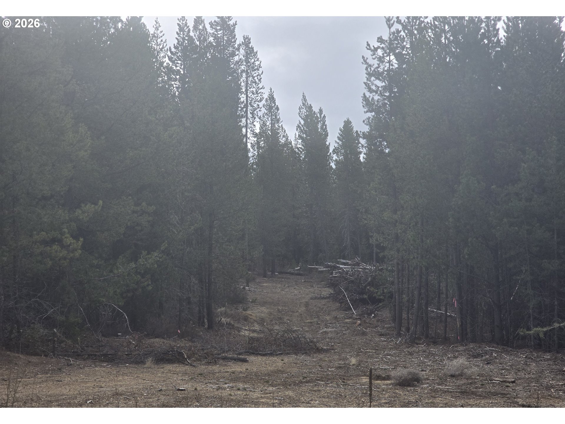 59 Royce Mountain WAY, Crescent Lake, OR, 97733