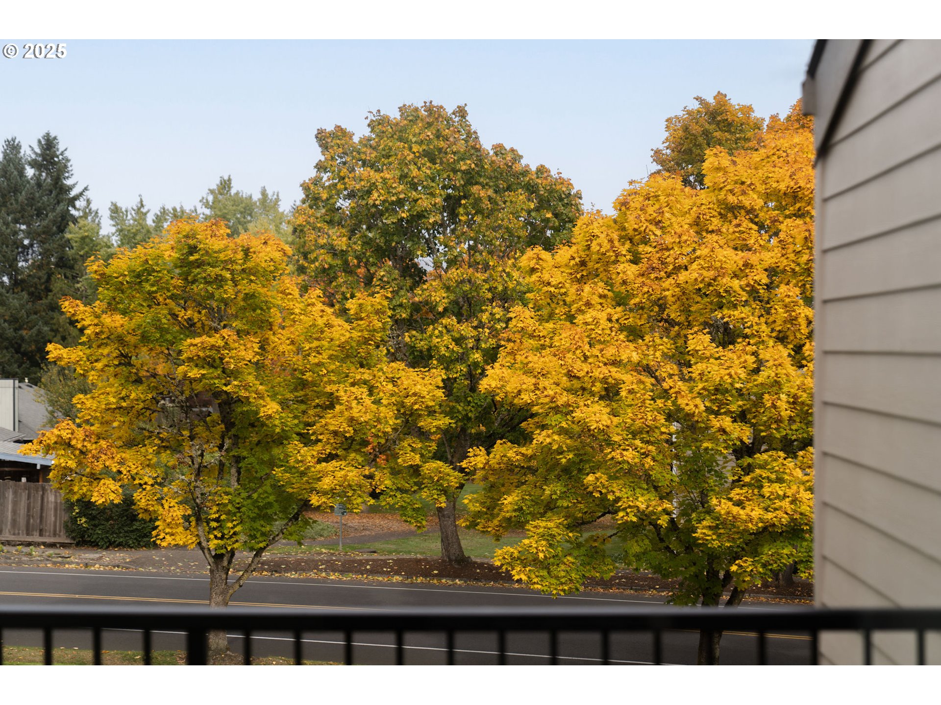 Photo #29: 454302939 Listing: Photo #29