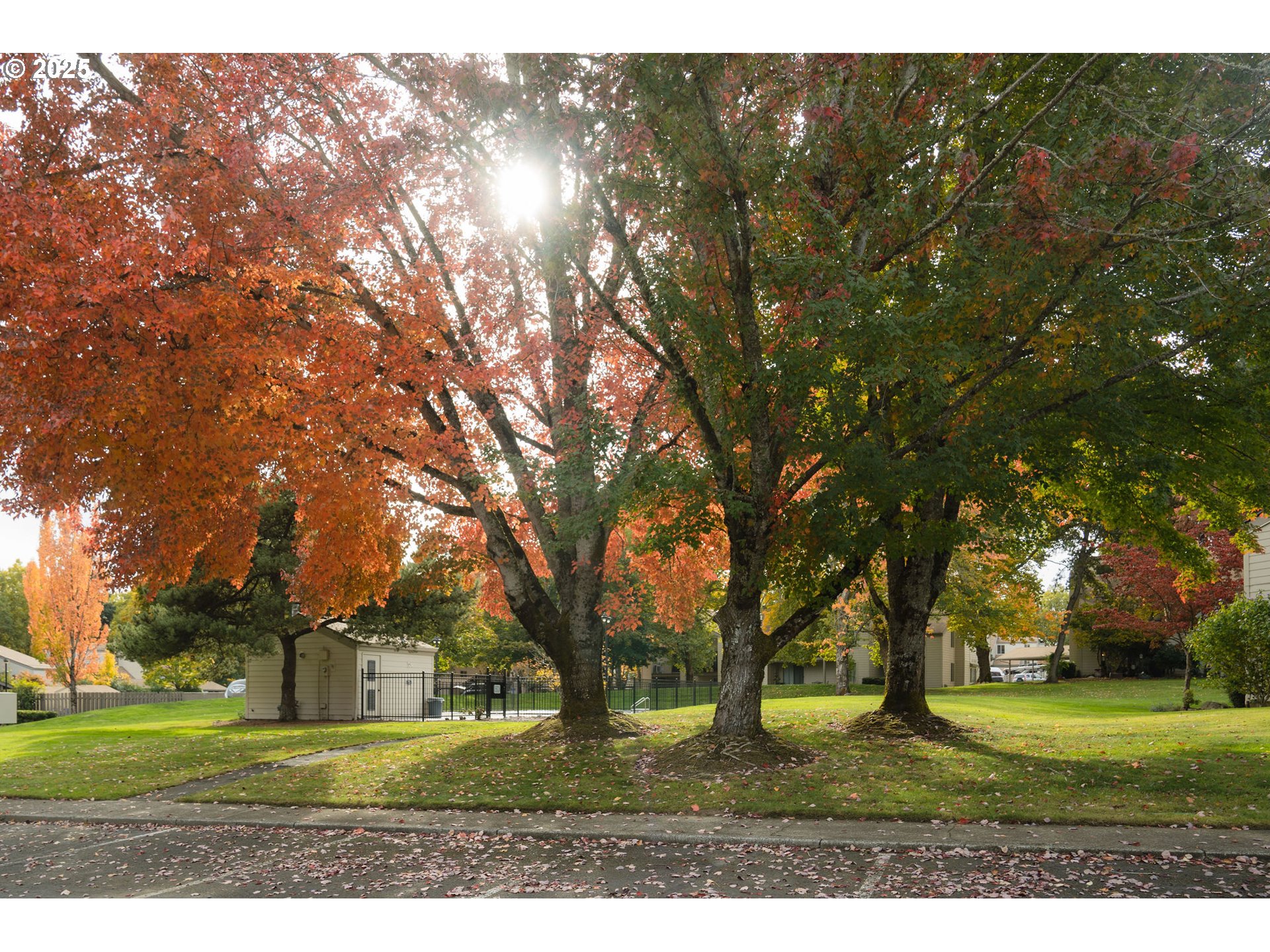 Photo #31: 454302939 Listing: Photo #31