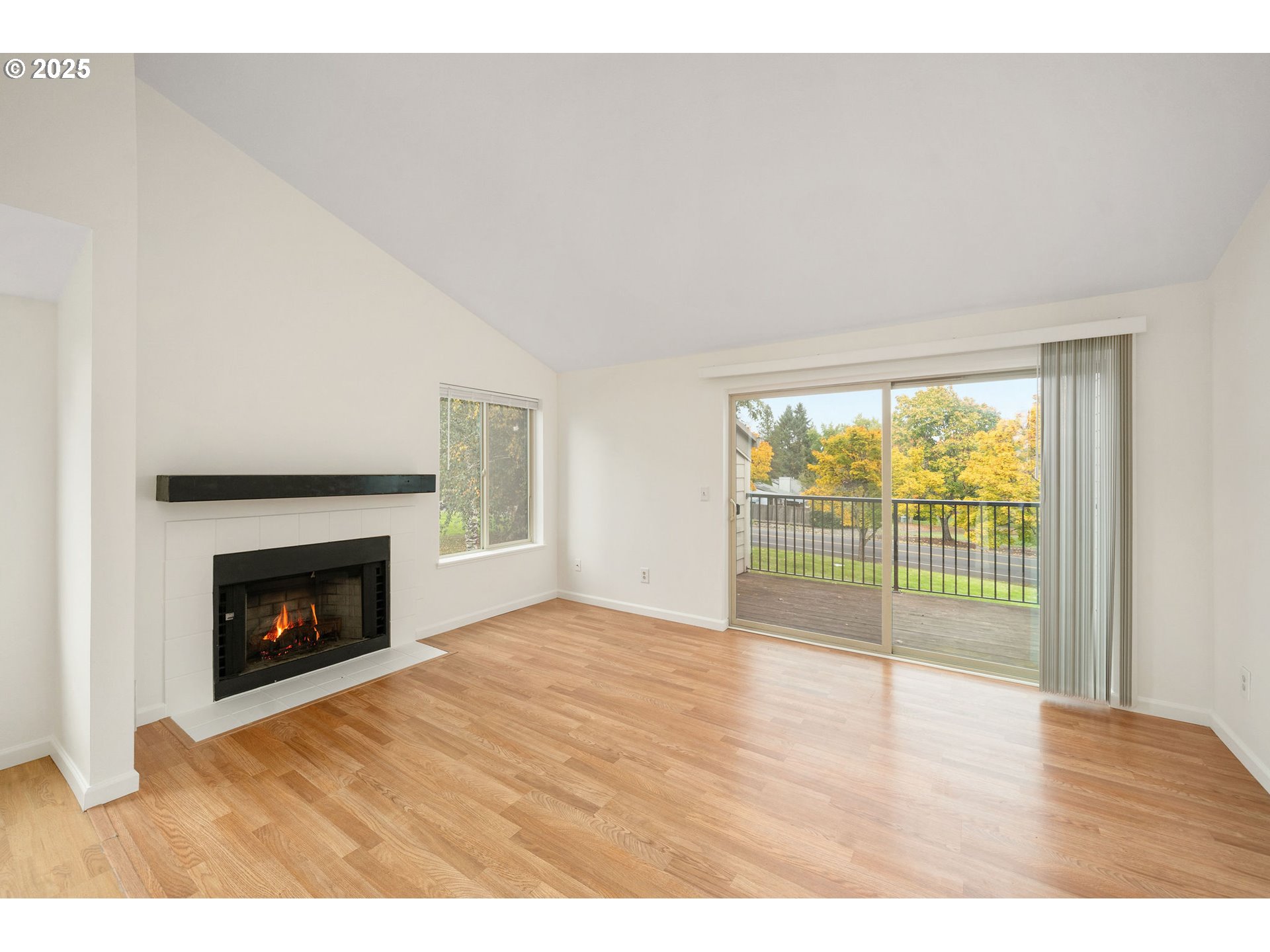 Photo #19: 454302939 Listing: Photo #19