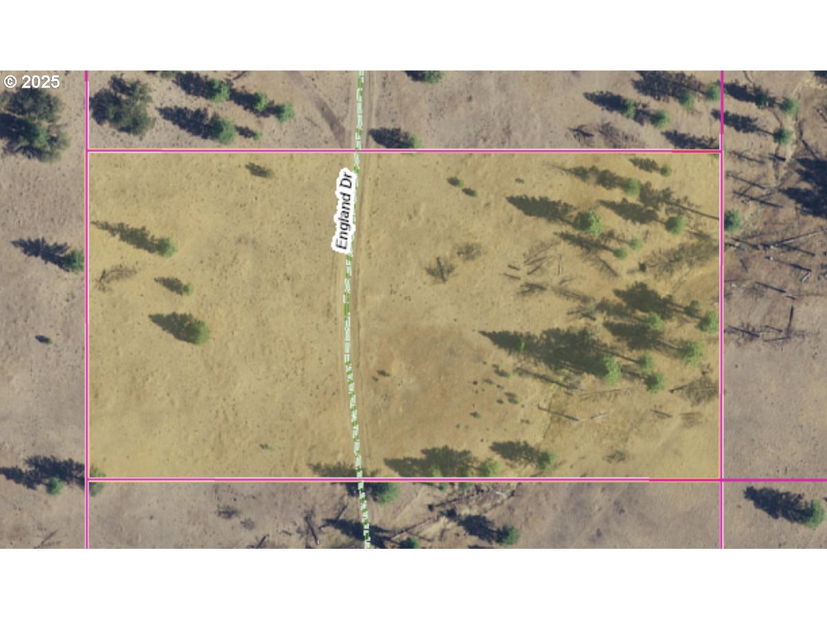 Search Homes for Sale