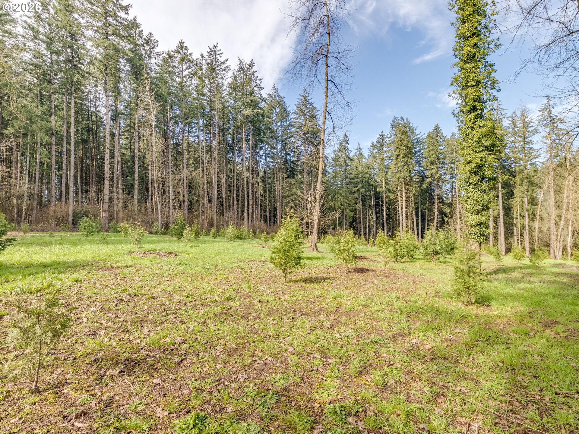 5801 NE ABBEY RD, Carlton, OR, 97111
