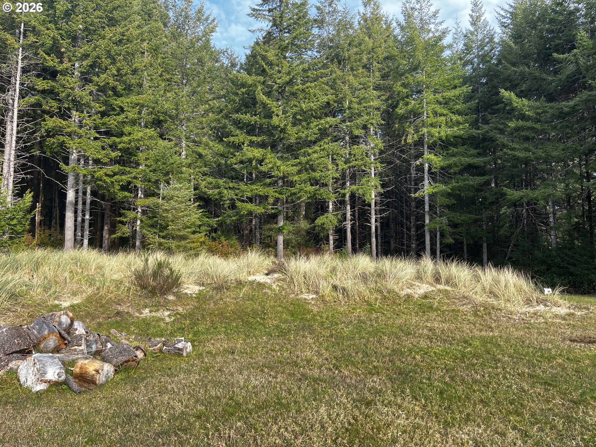 Sauter Dr UNIT 7, Florence, OR, 97439