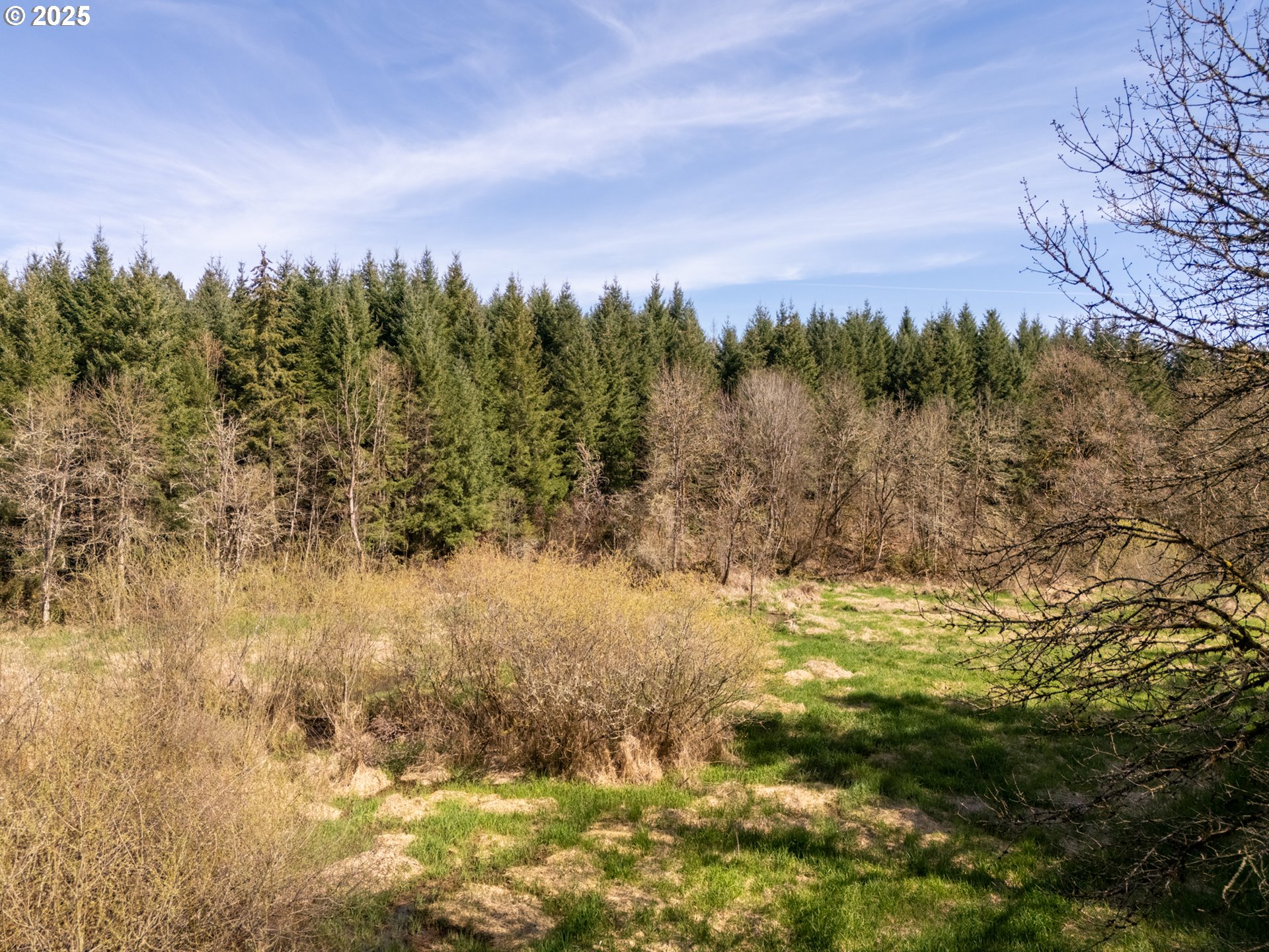 19855 NE TRUNK RD, Dundee, OR, 97115