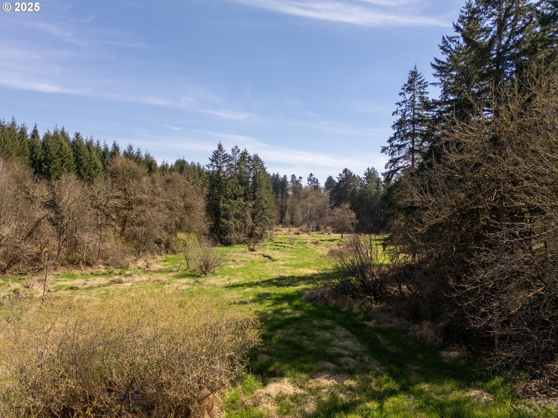 19855 NE TRUNK RD, Dundee, OR, 97115