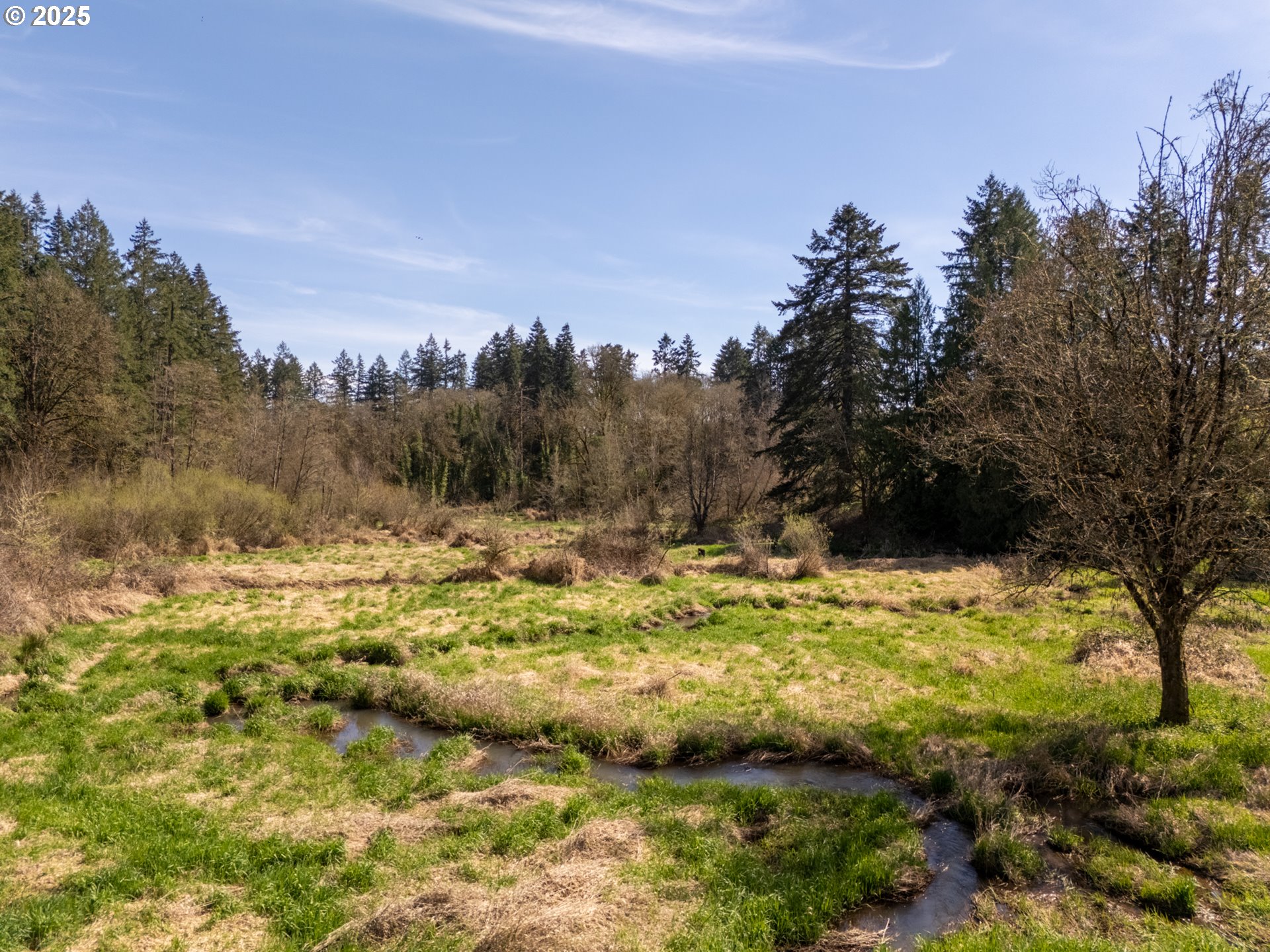 19855 NE TRUNK RD, Dundee, OR, 97115