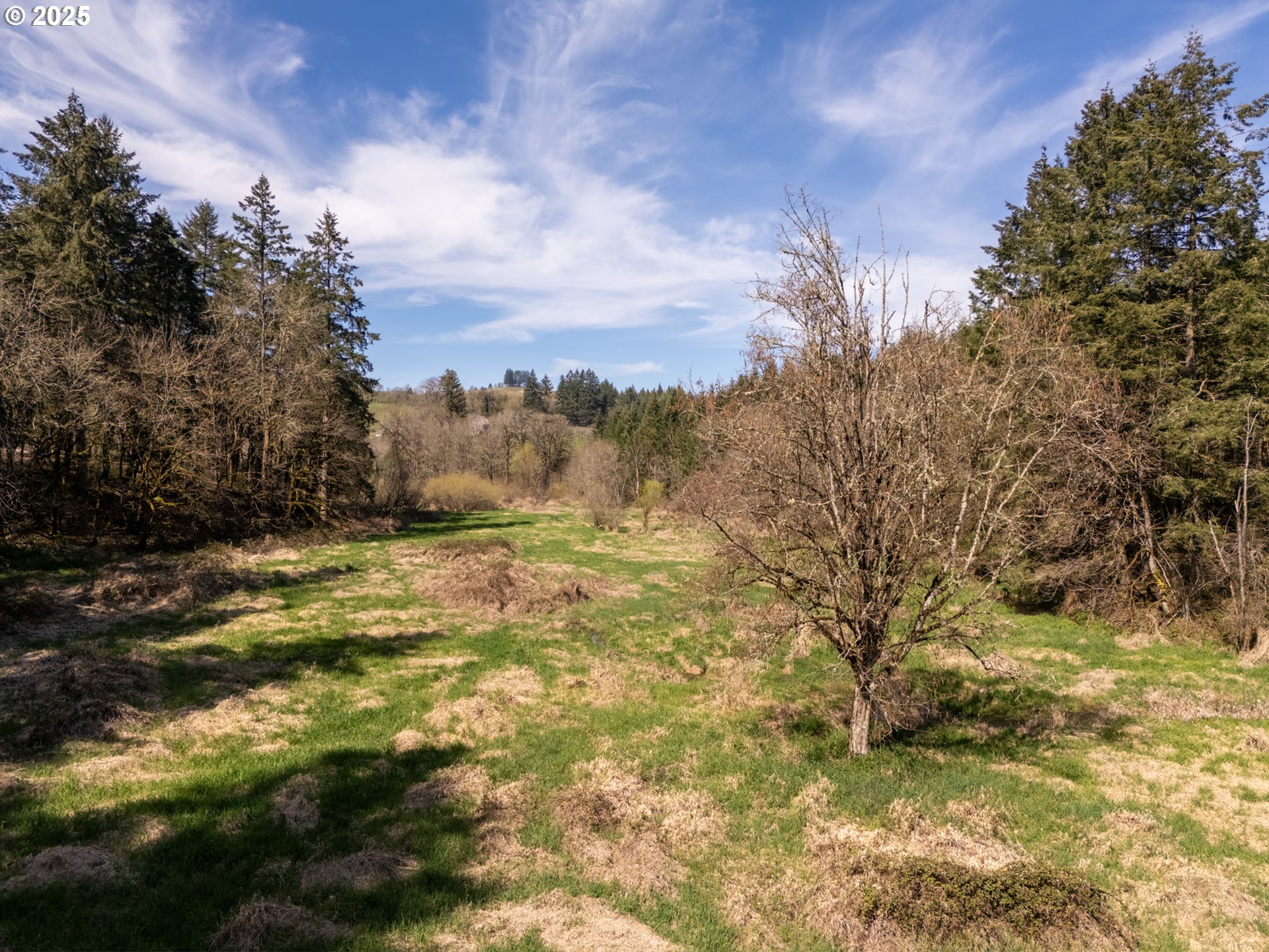 19855 NE TRUNK RD, Dundee, OR, 97115