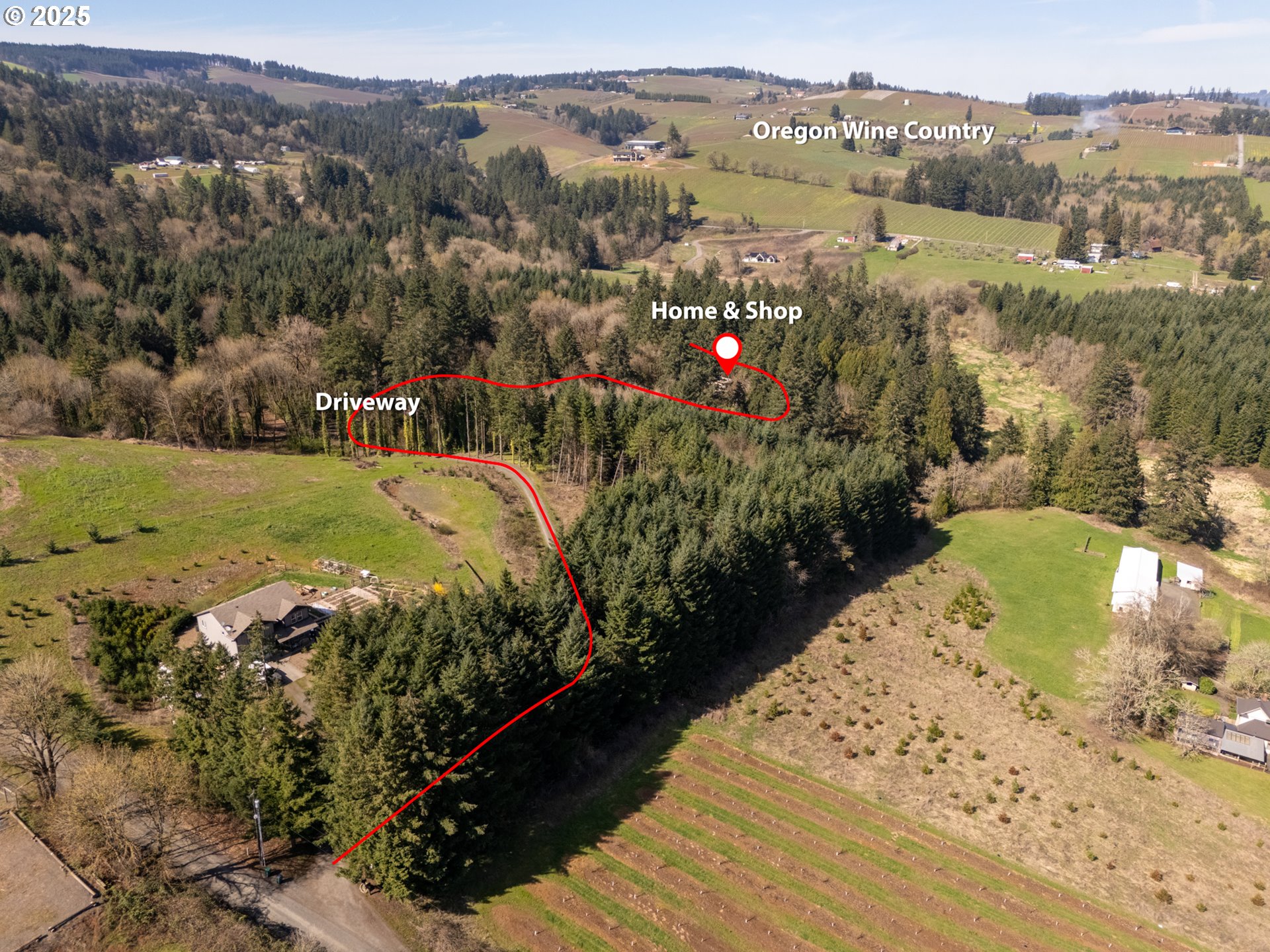 19855 NE TRUNK RD, Dundee, OR, 97115