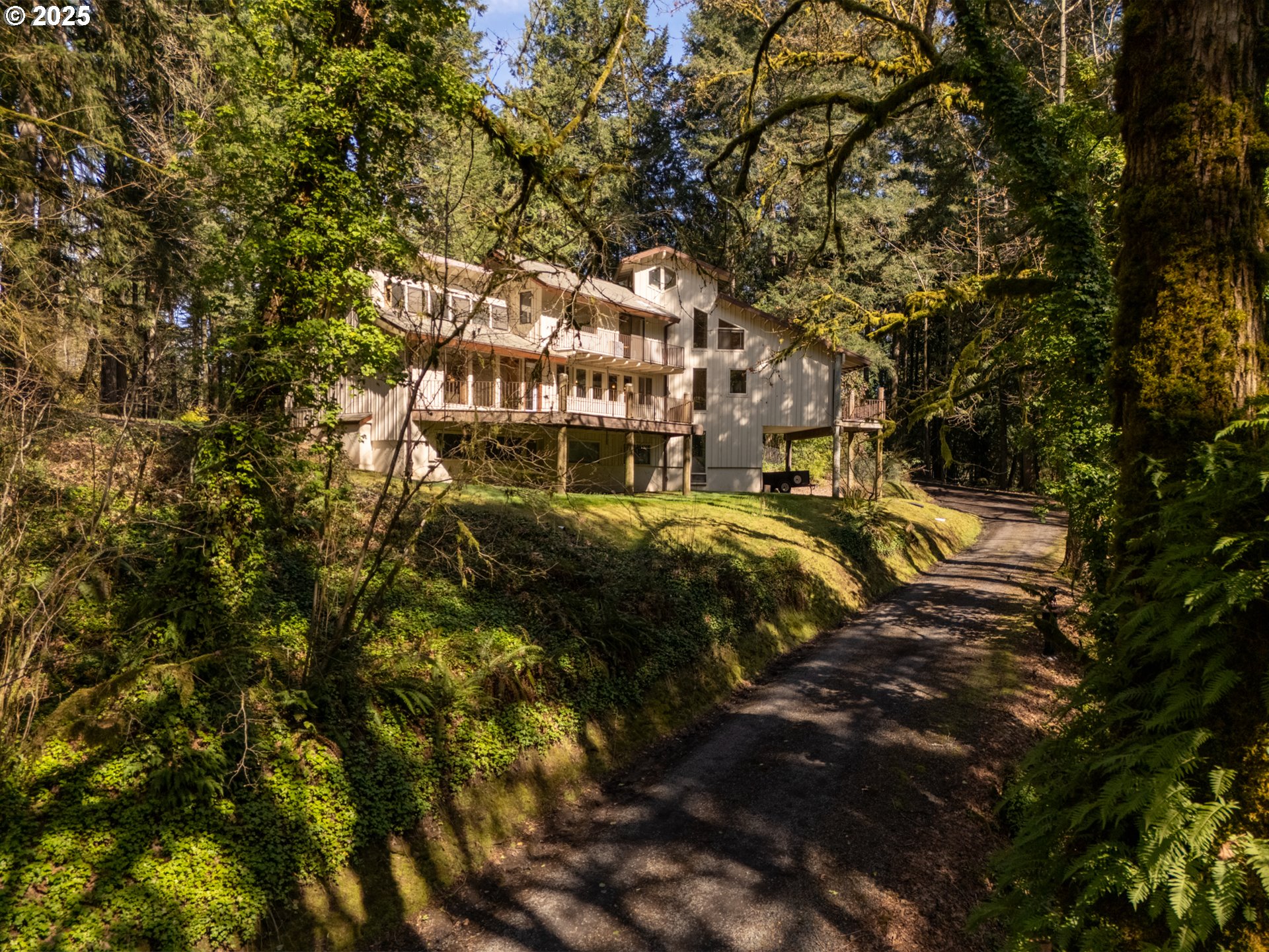 19855 NE TRUNK RD, Dundee, OR, 97115