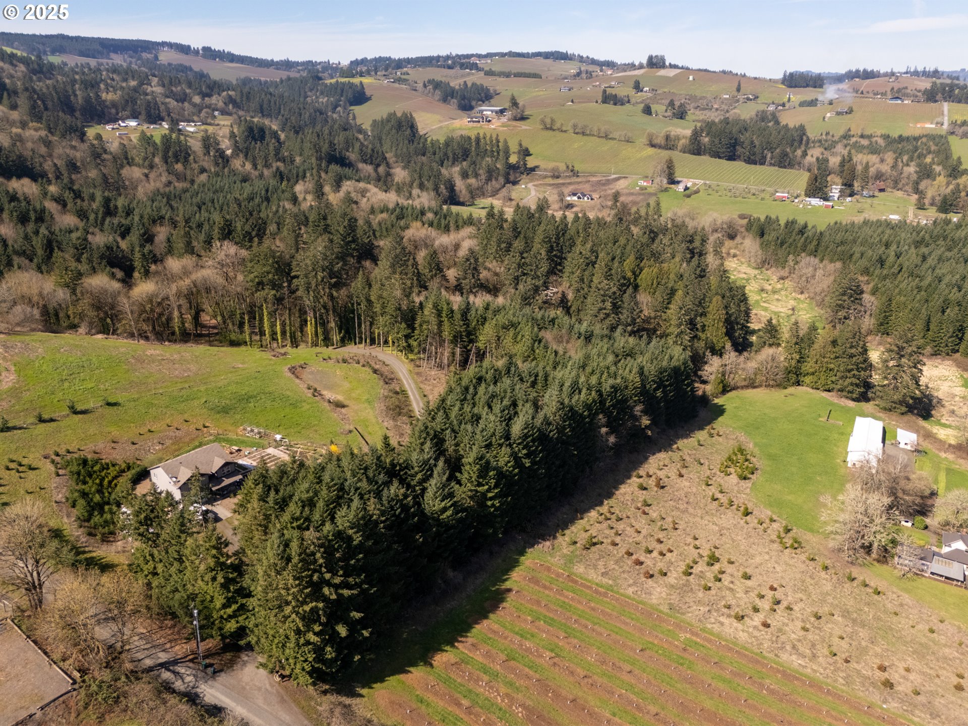 19855 NE TRUNK RD, Dundee, OR, 97115