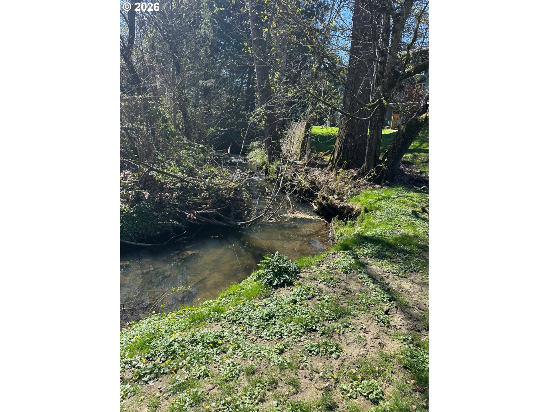 Photo #11: 458719435 Listing: Photo #11