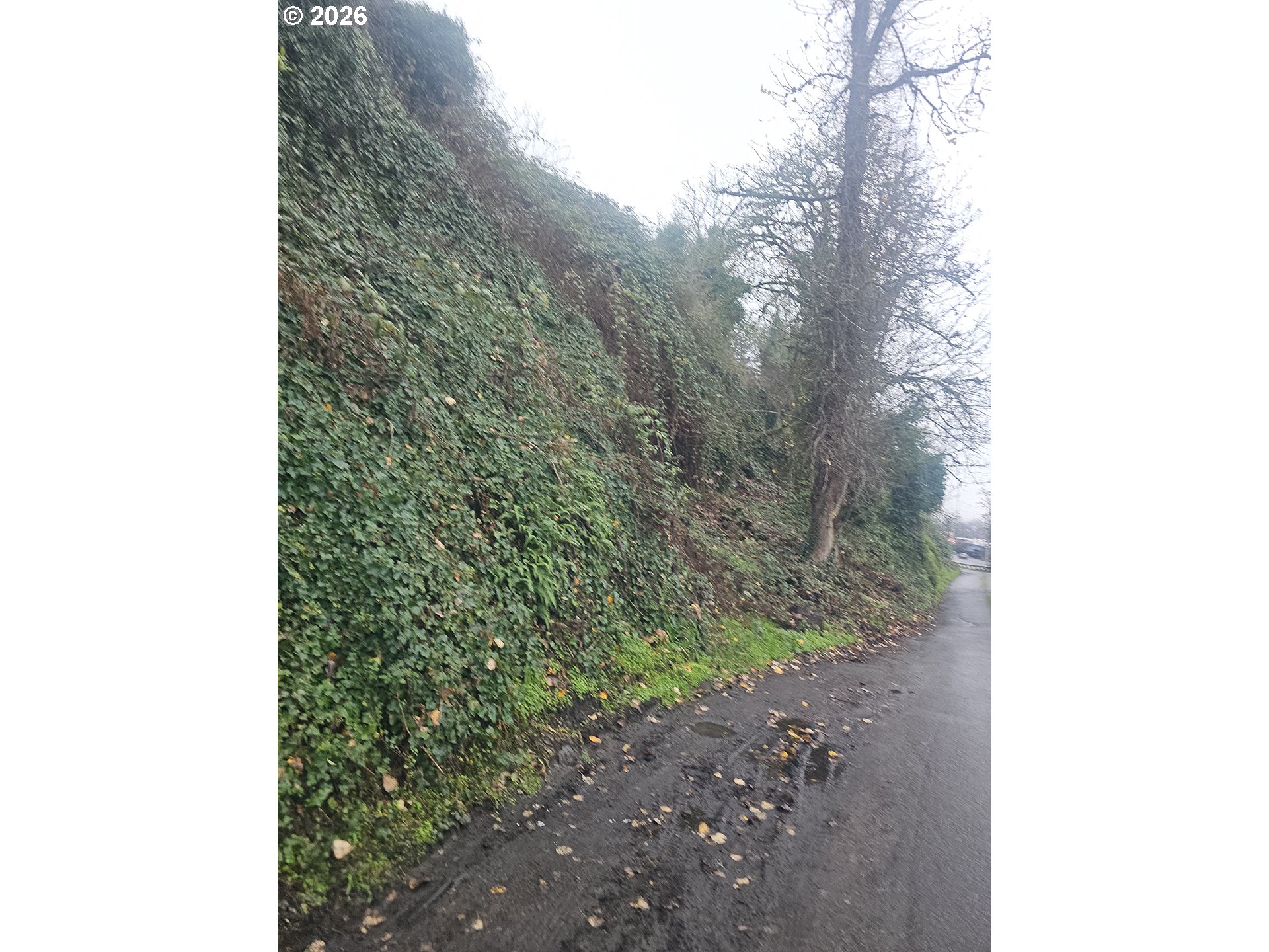 NW 1ST, Portland, OR, 97231