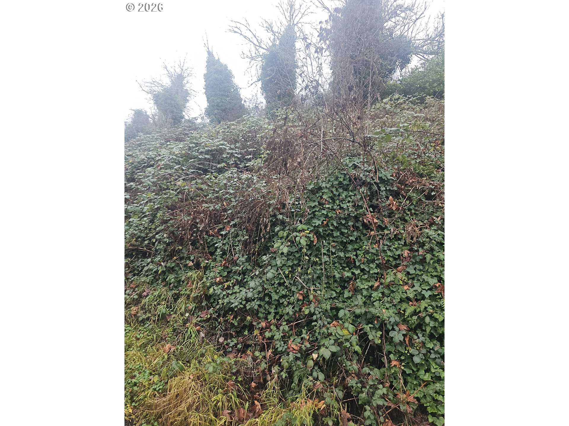 NW 1ST, Portland, OR, 97231