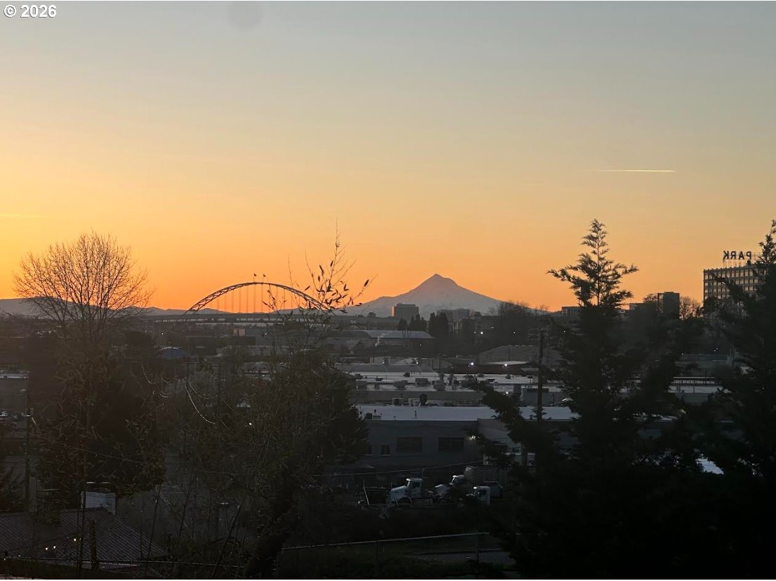 Photo #36: 459167907 Listing: Photo #36