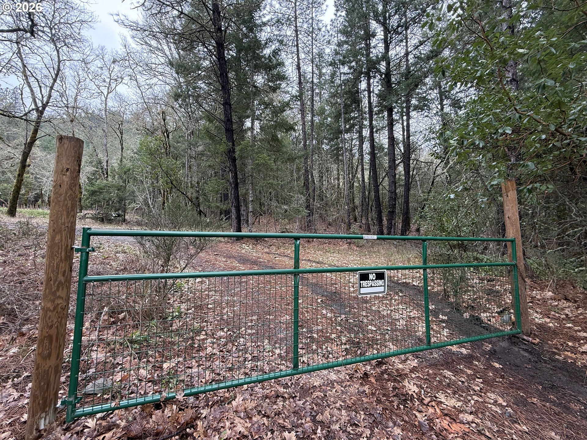 Search Homes for Sale