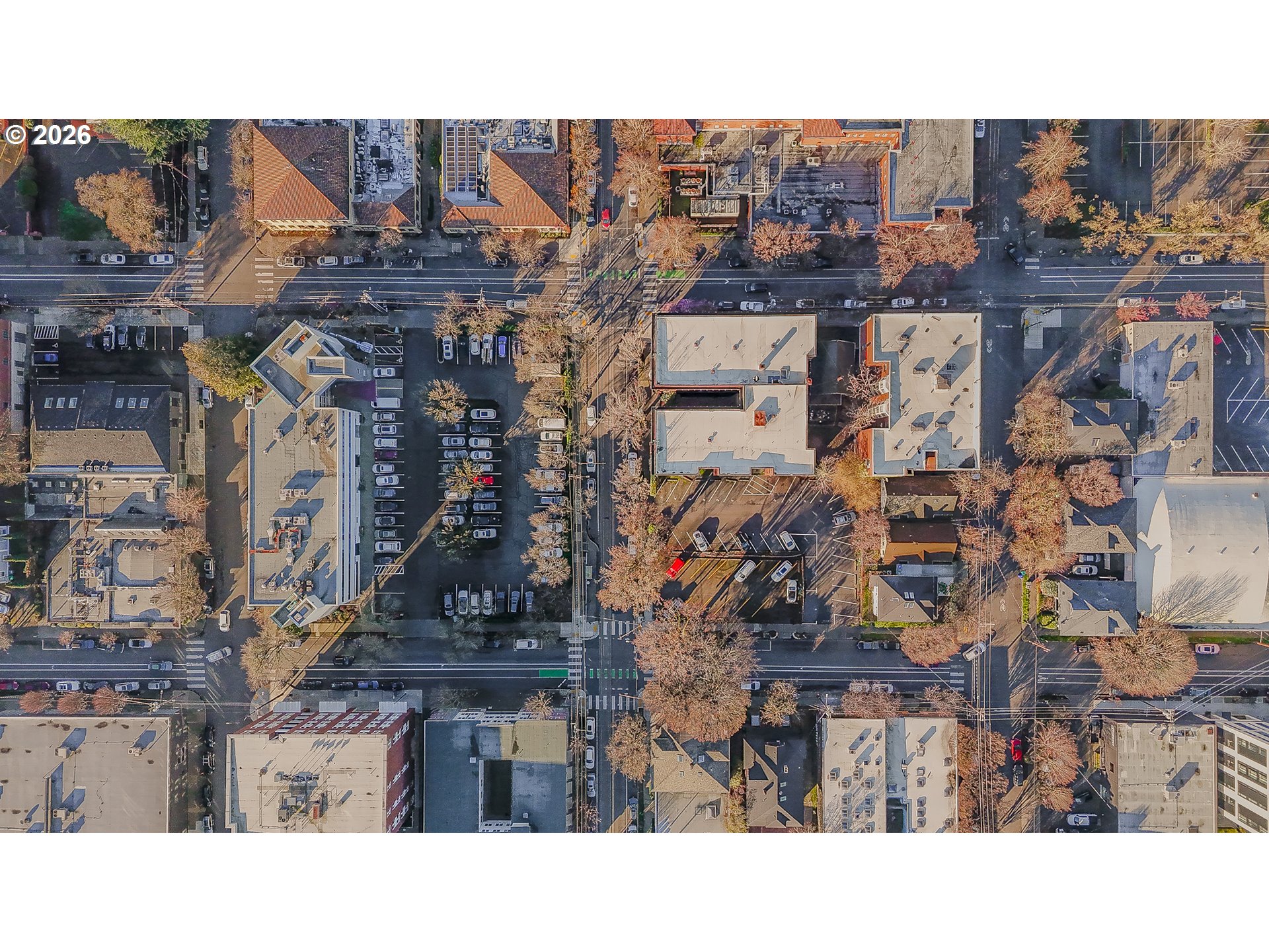 Photo #31: 461178047 Listing: Photo #31