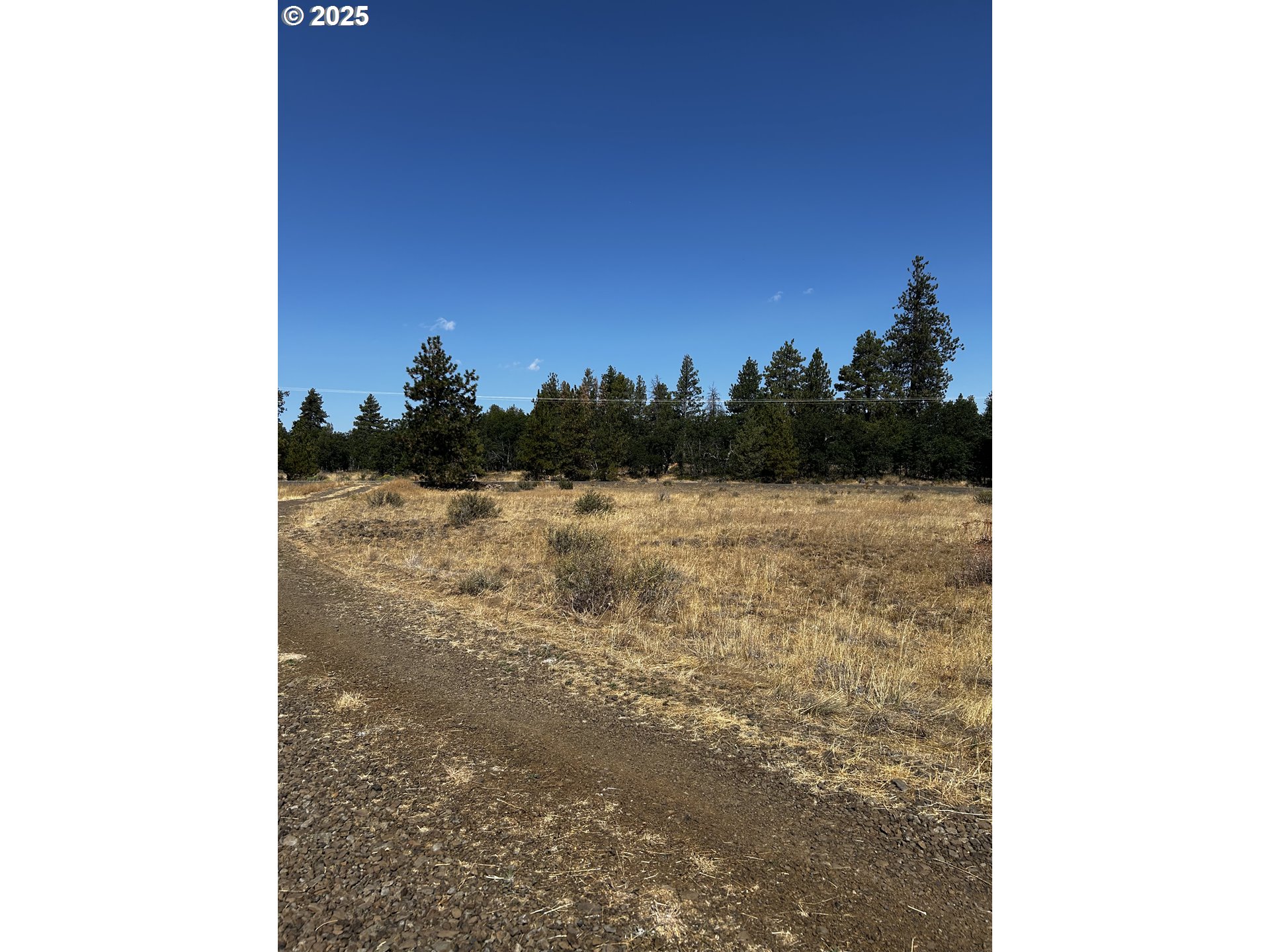 Search Homes for Sale